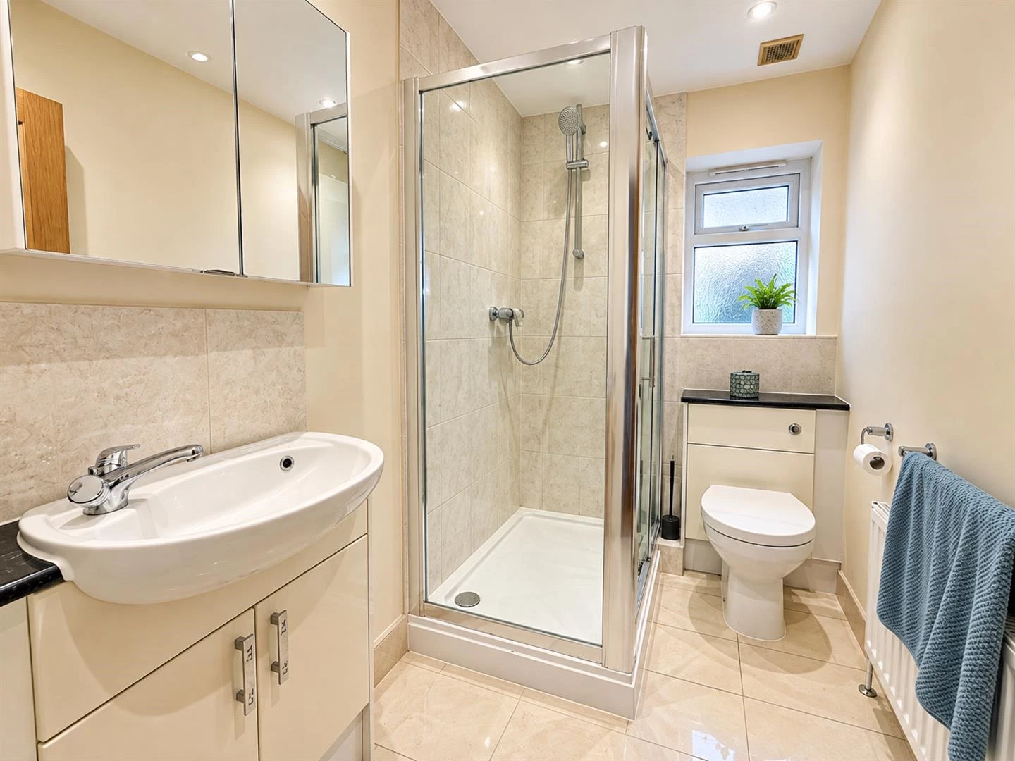 Shower Room.PNG