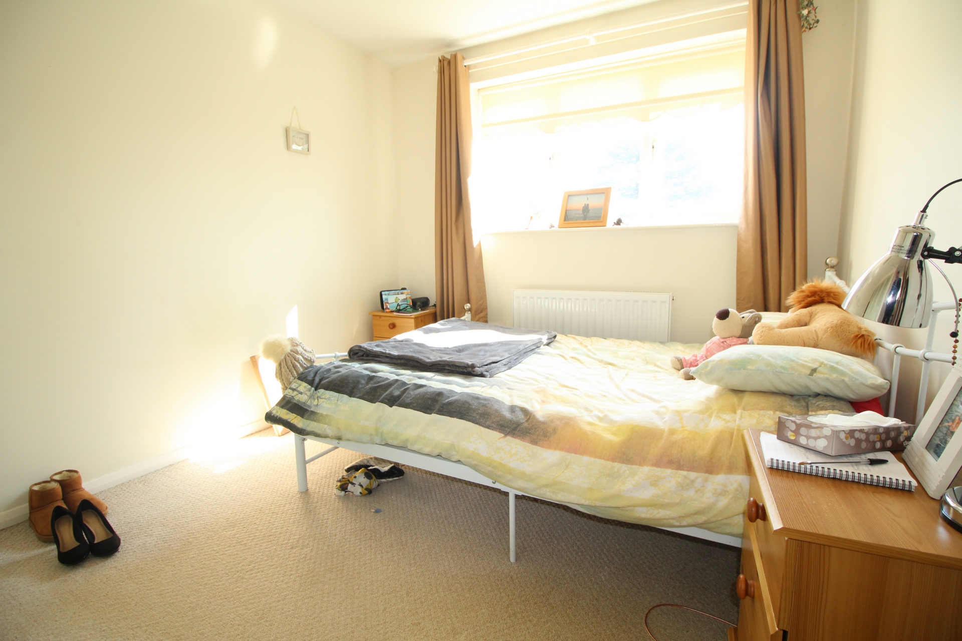 Photo 5