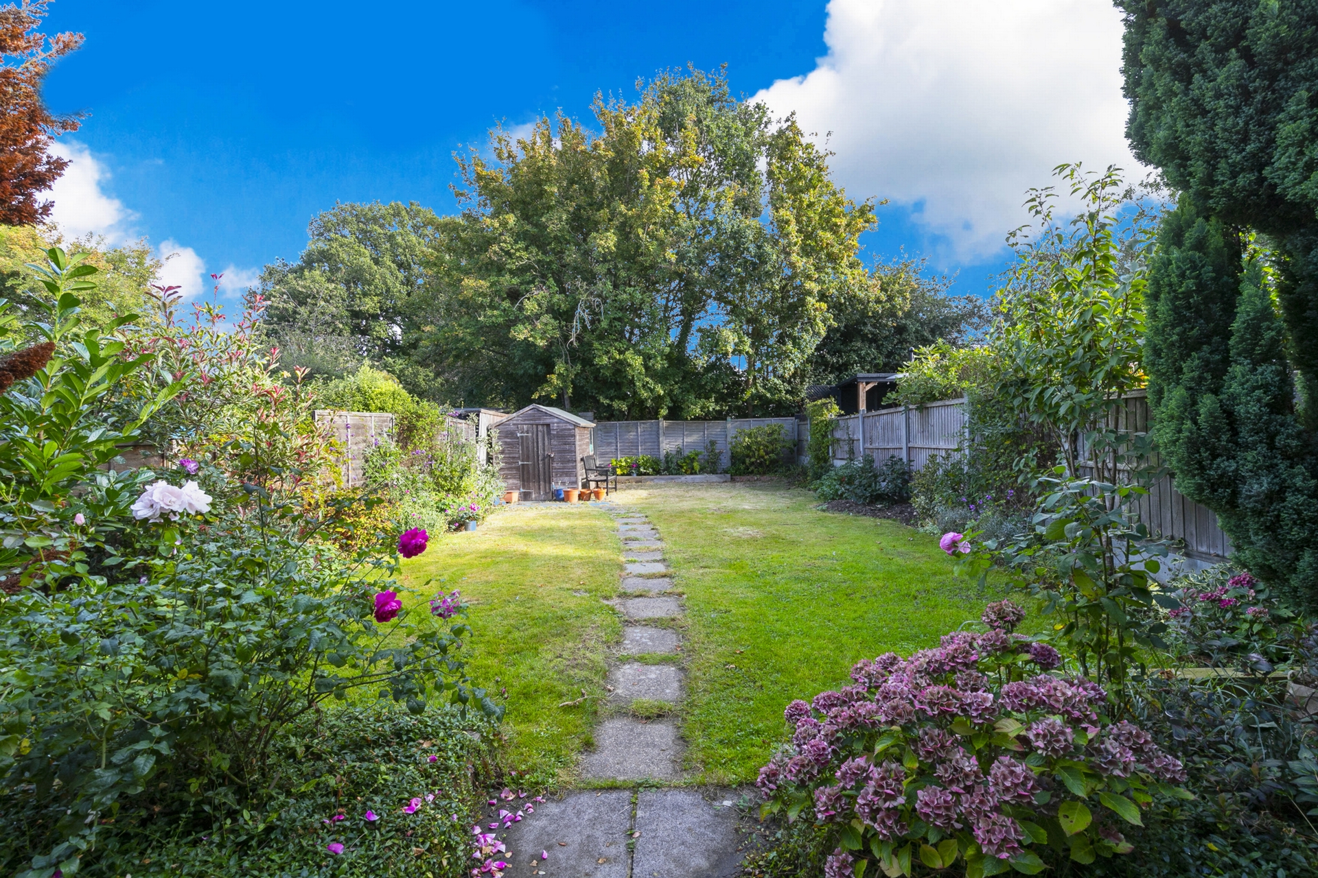 Garden