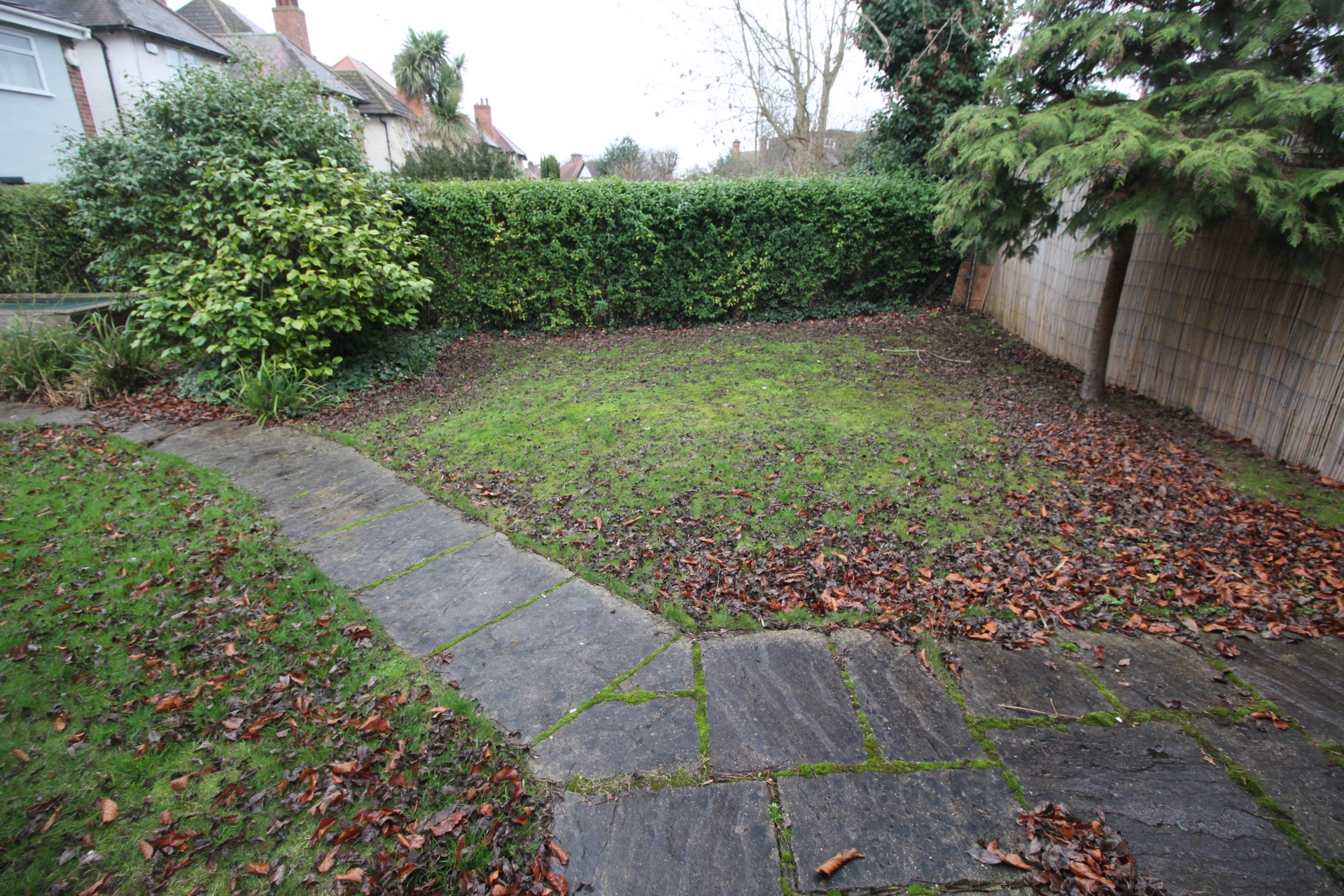Photo 26