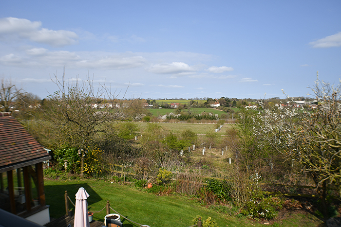Photo 42