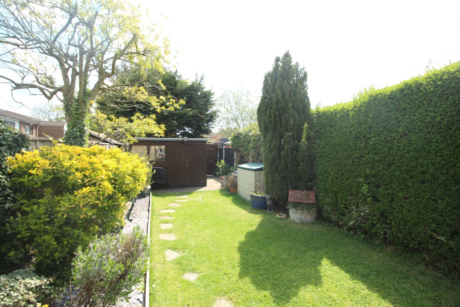 Photo 15