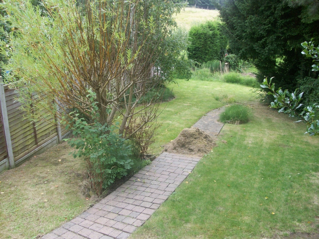 Photo 5