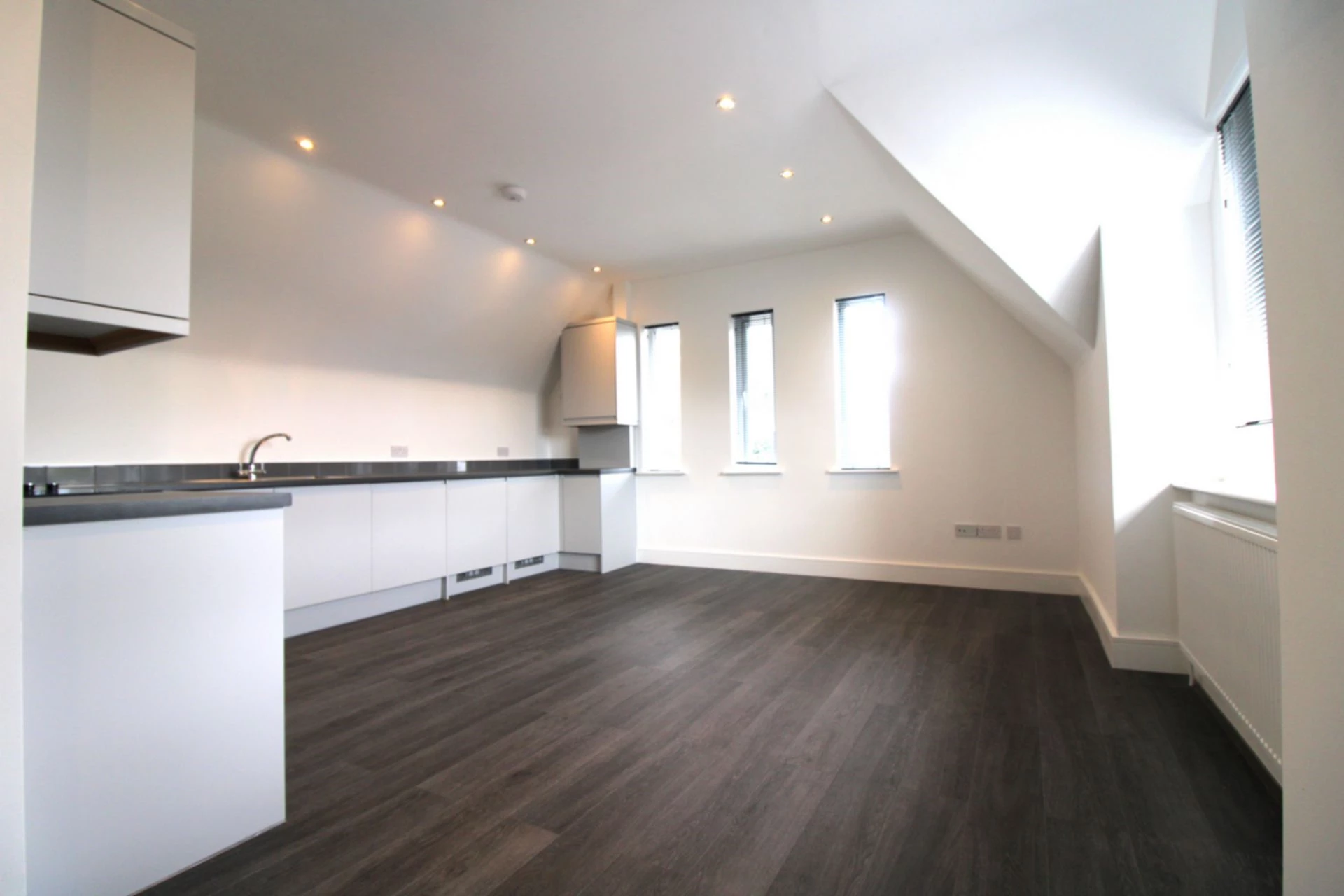 Lounge/Kitchen