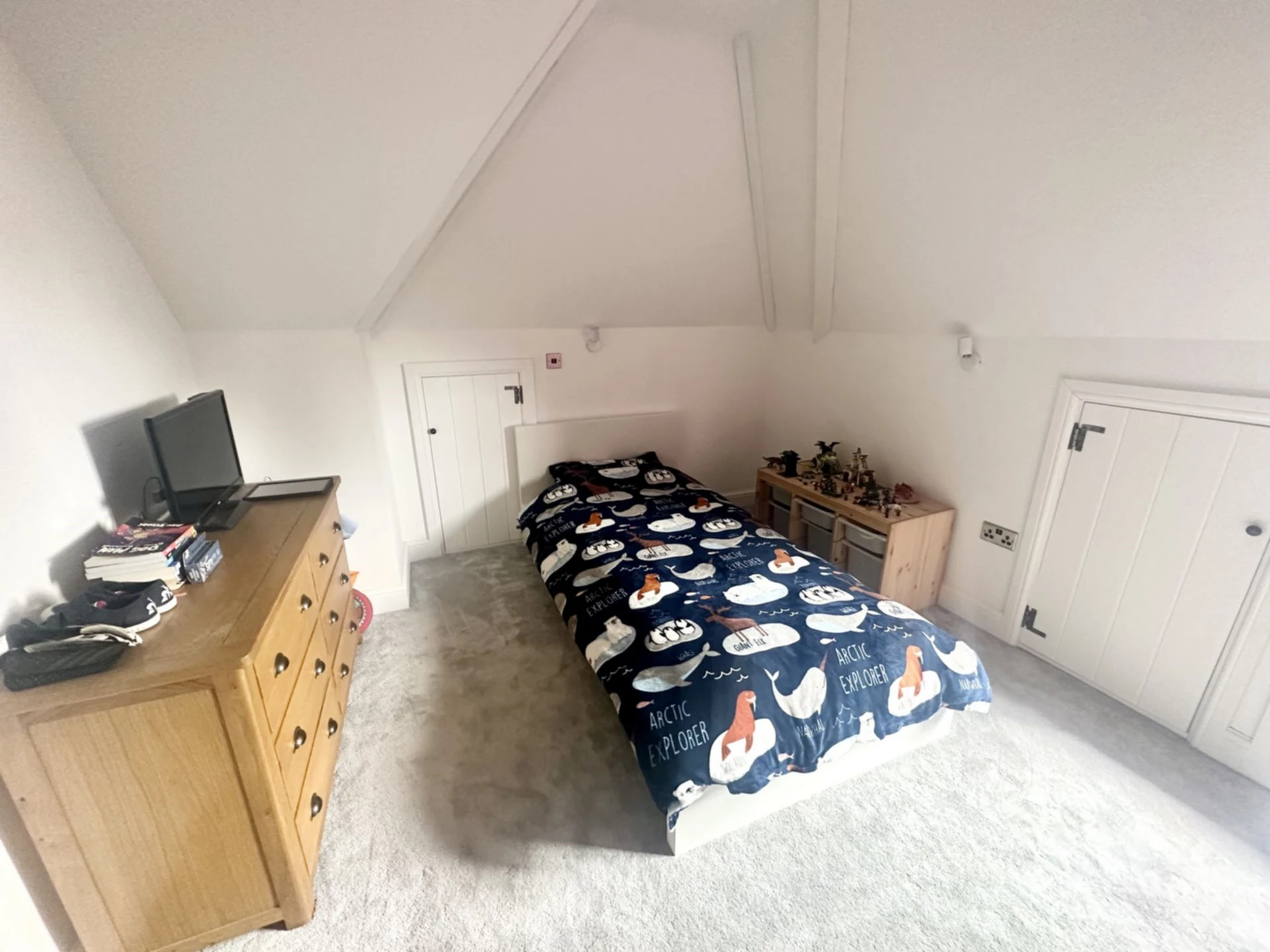 Photo 21