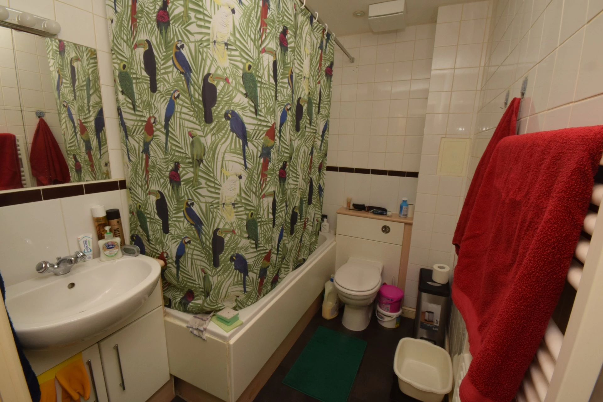 Main Bathroom