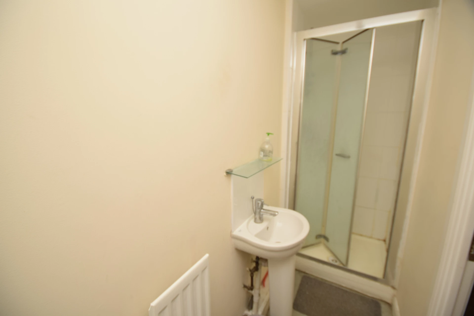 Downstairs Shower Room with Toilet