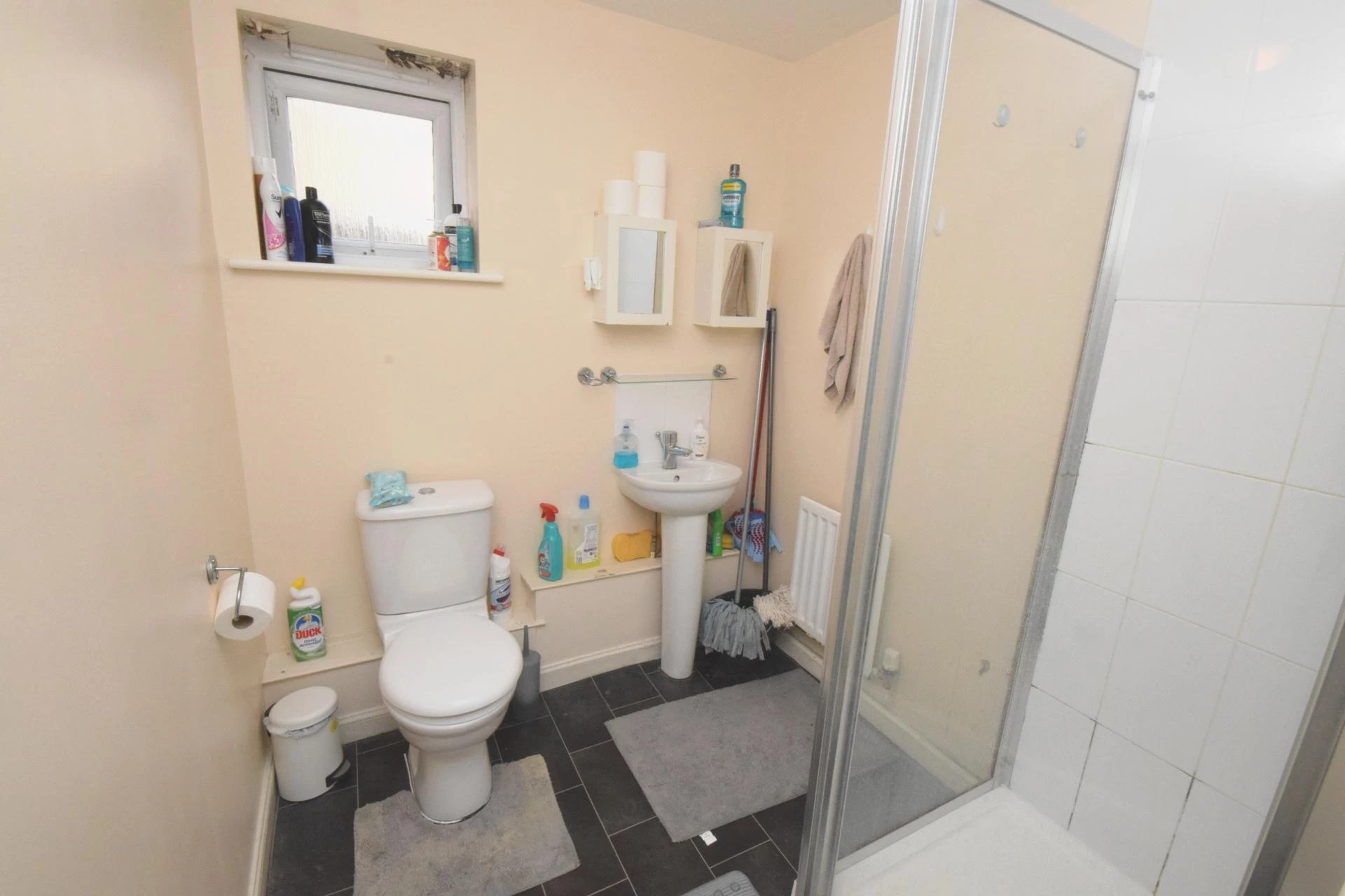 Downstairs Shower Room