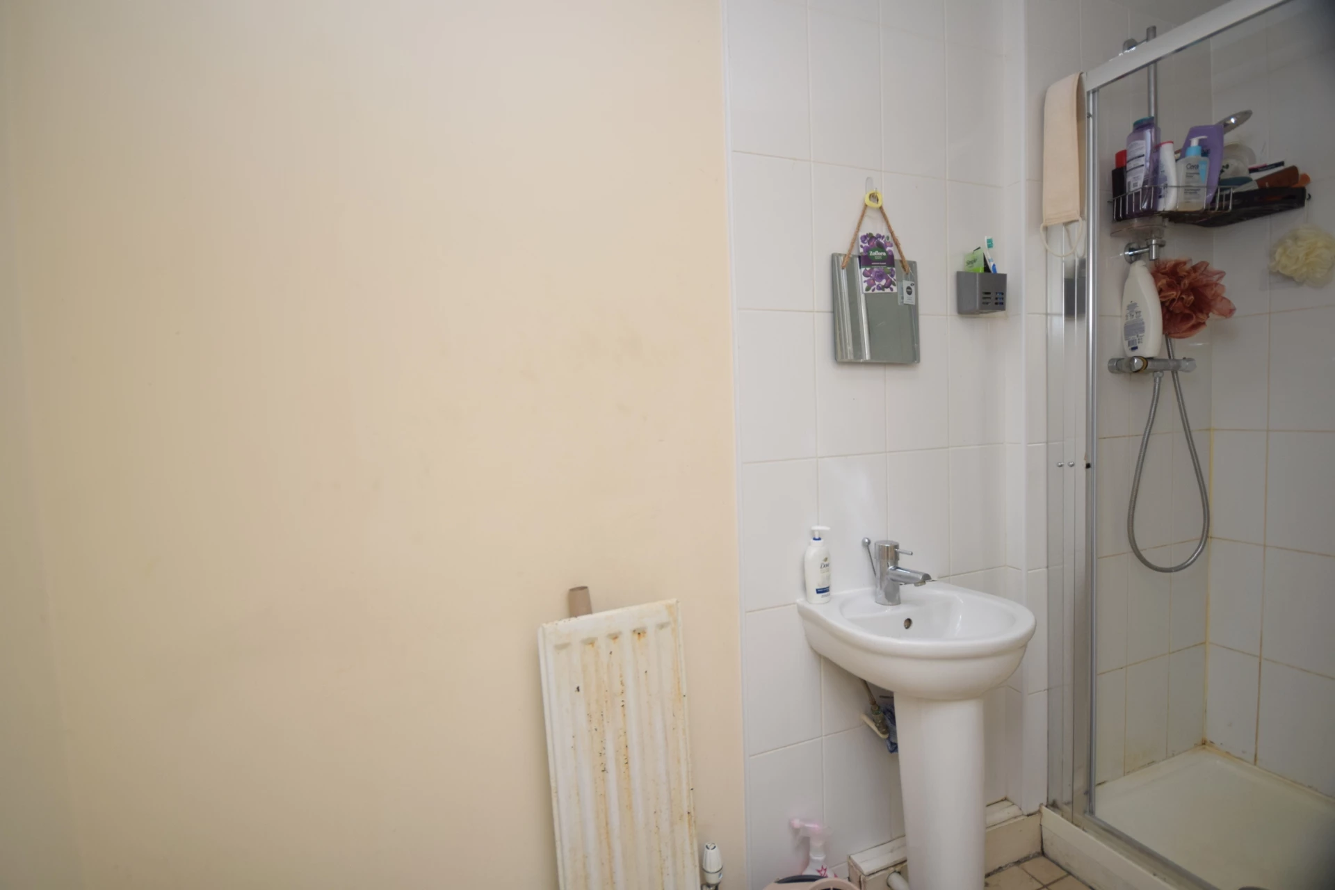Dowwnstairs Shower Room
