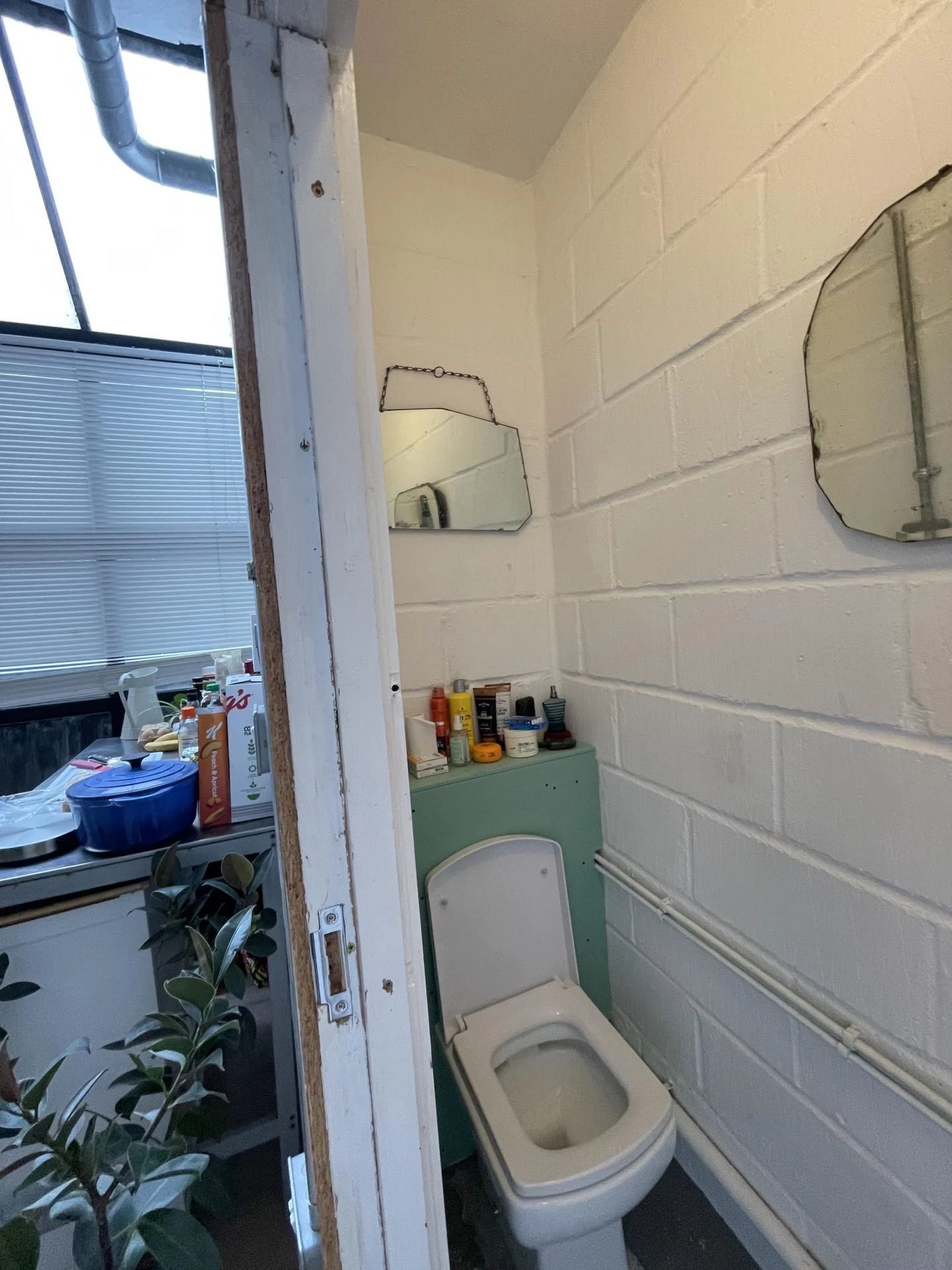 Photo 11