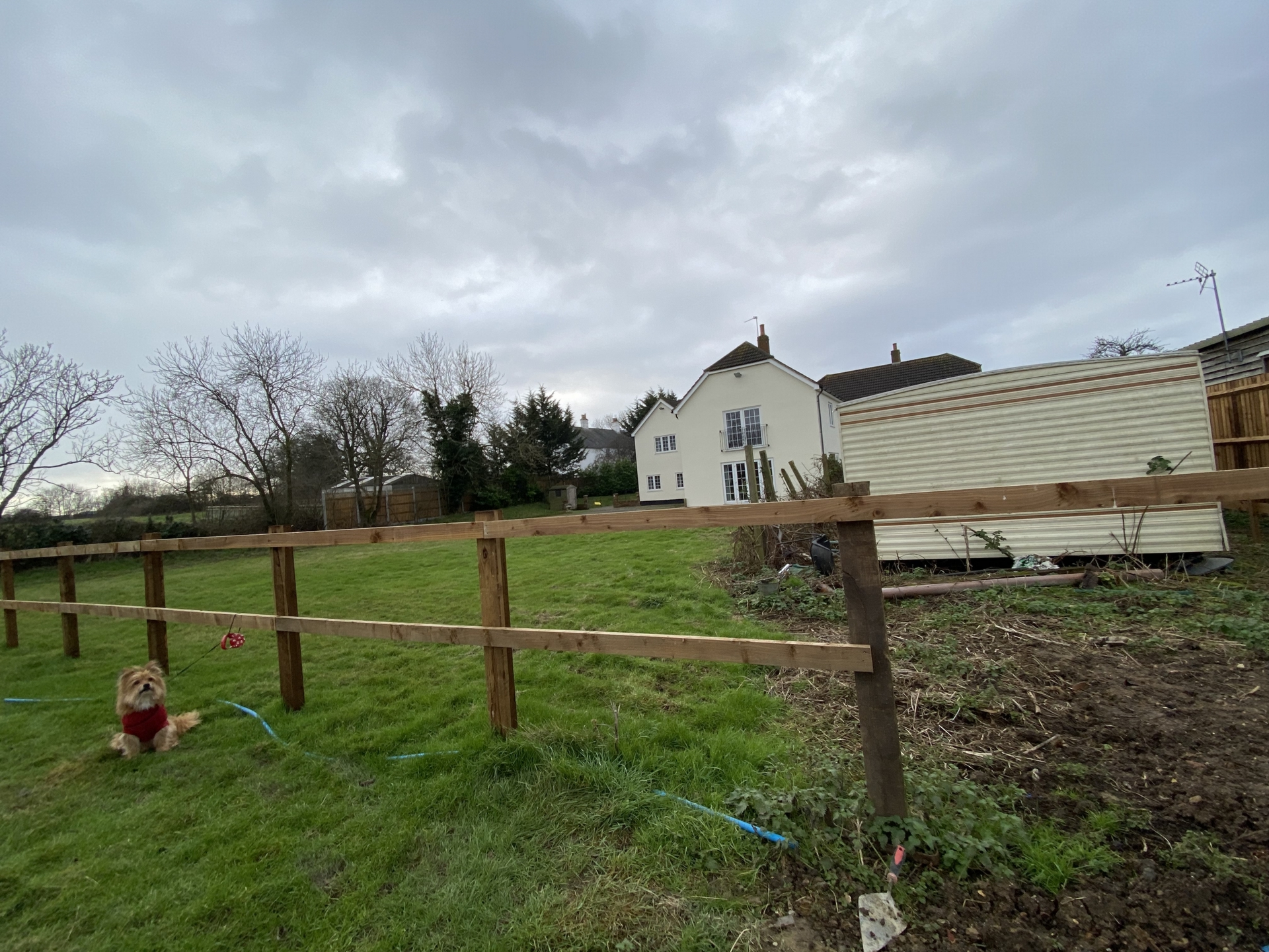 Photo 19