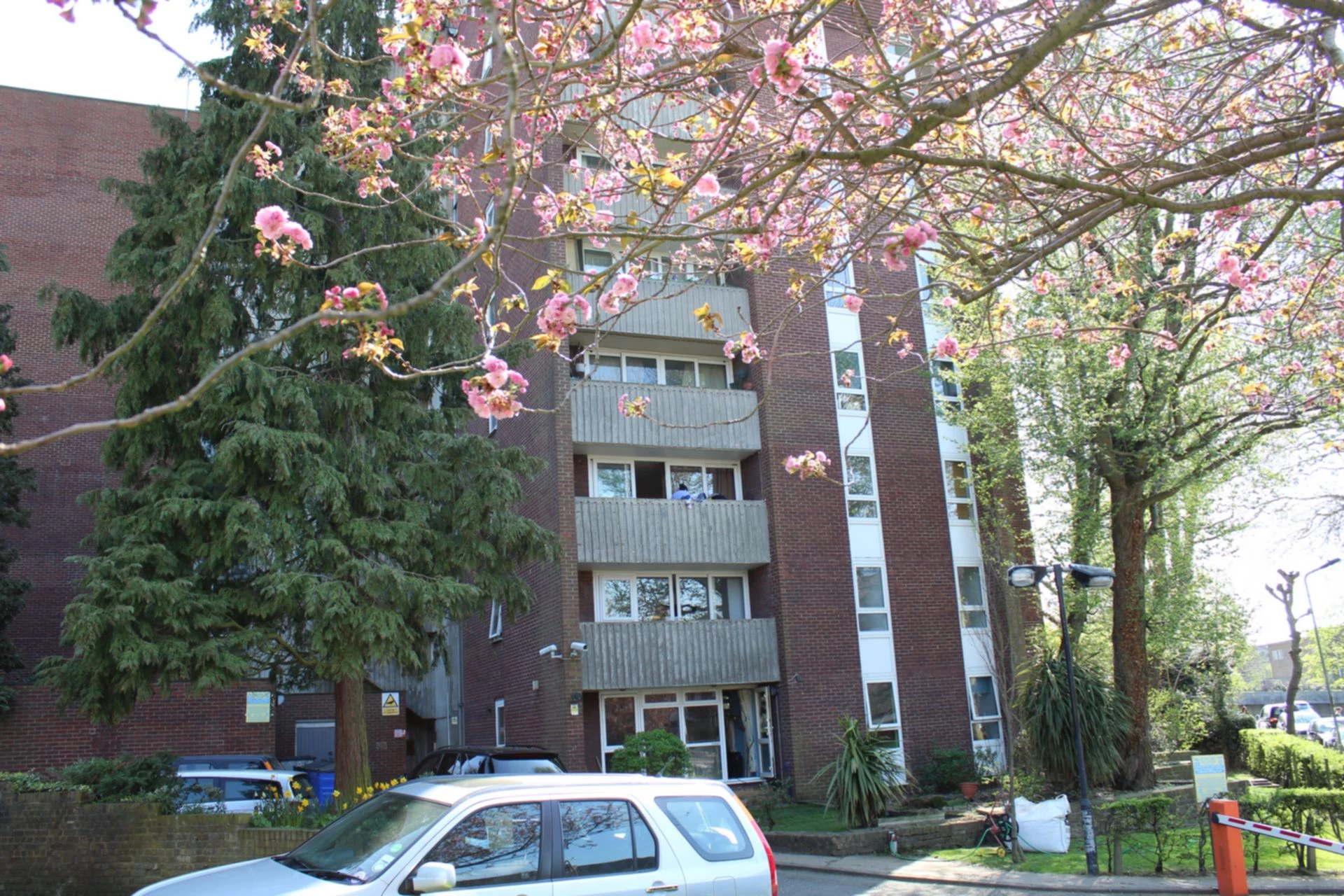 Photo 9