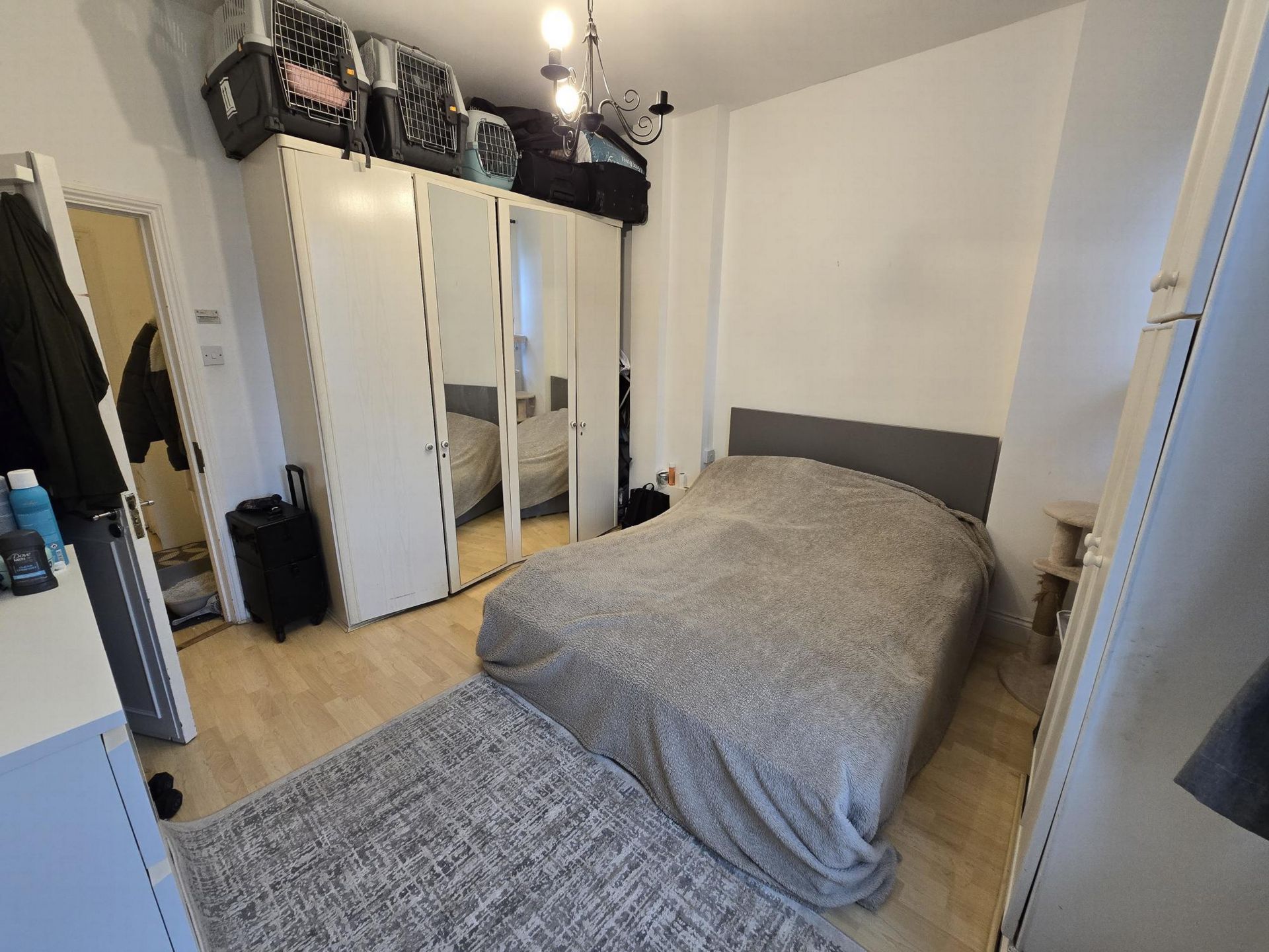 Photo 4