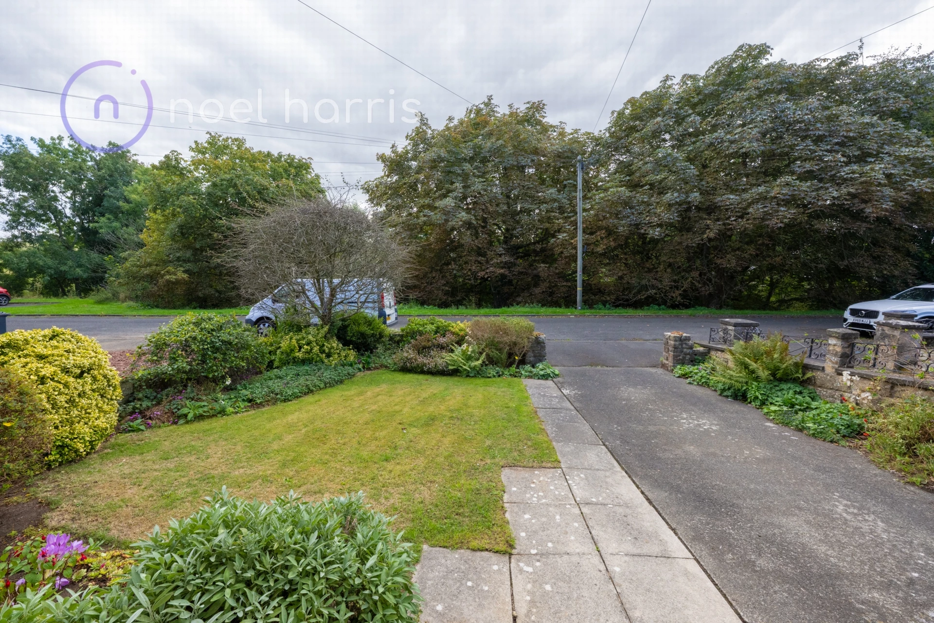 Photo 25