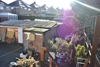 Garden Garden
