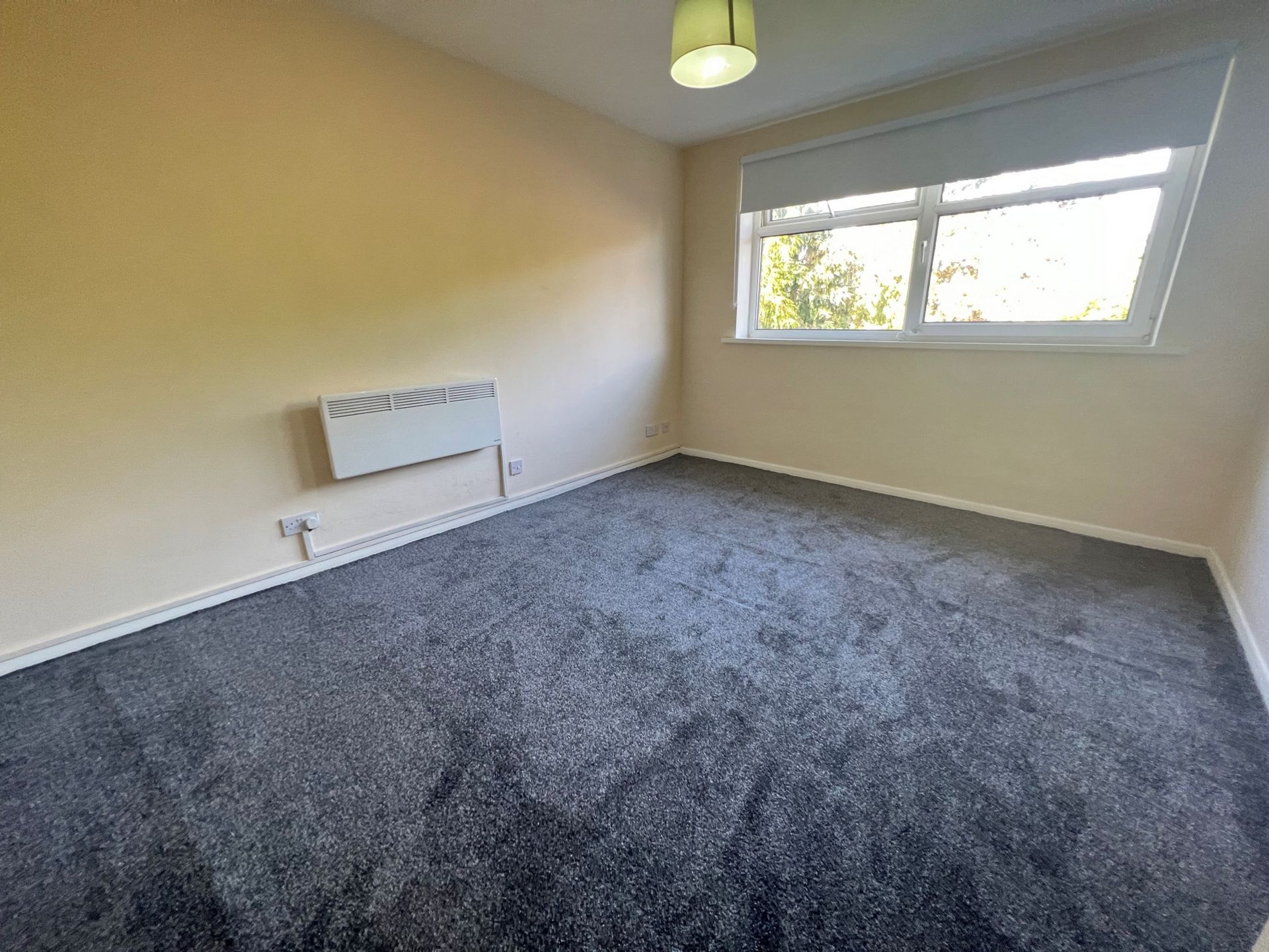 Lounge/Bedroom