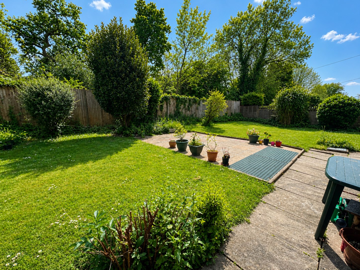 Garden