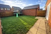 Garden Garden