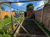 Garden Garden