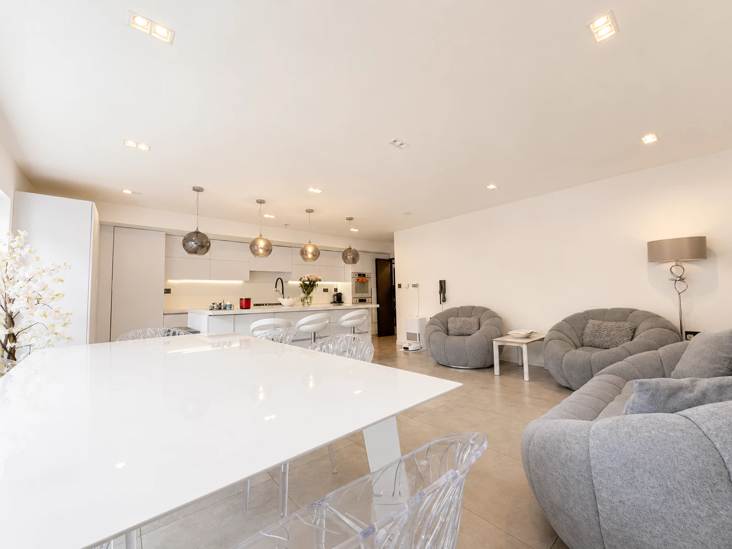 Kitchen/Living/Diner