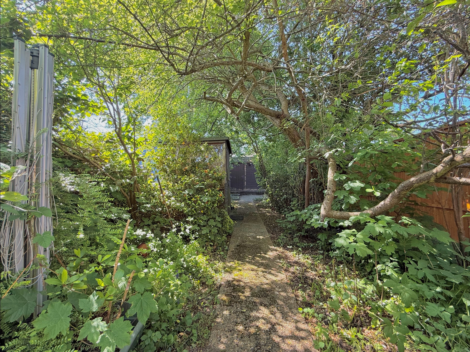 Garden Continued
