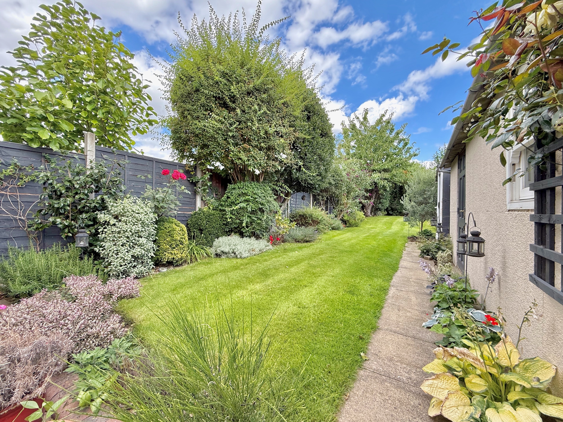 Lawn