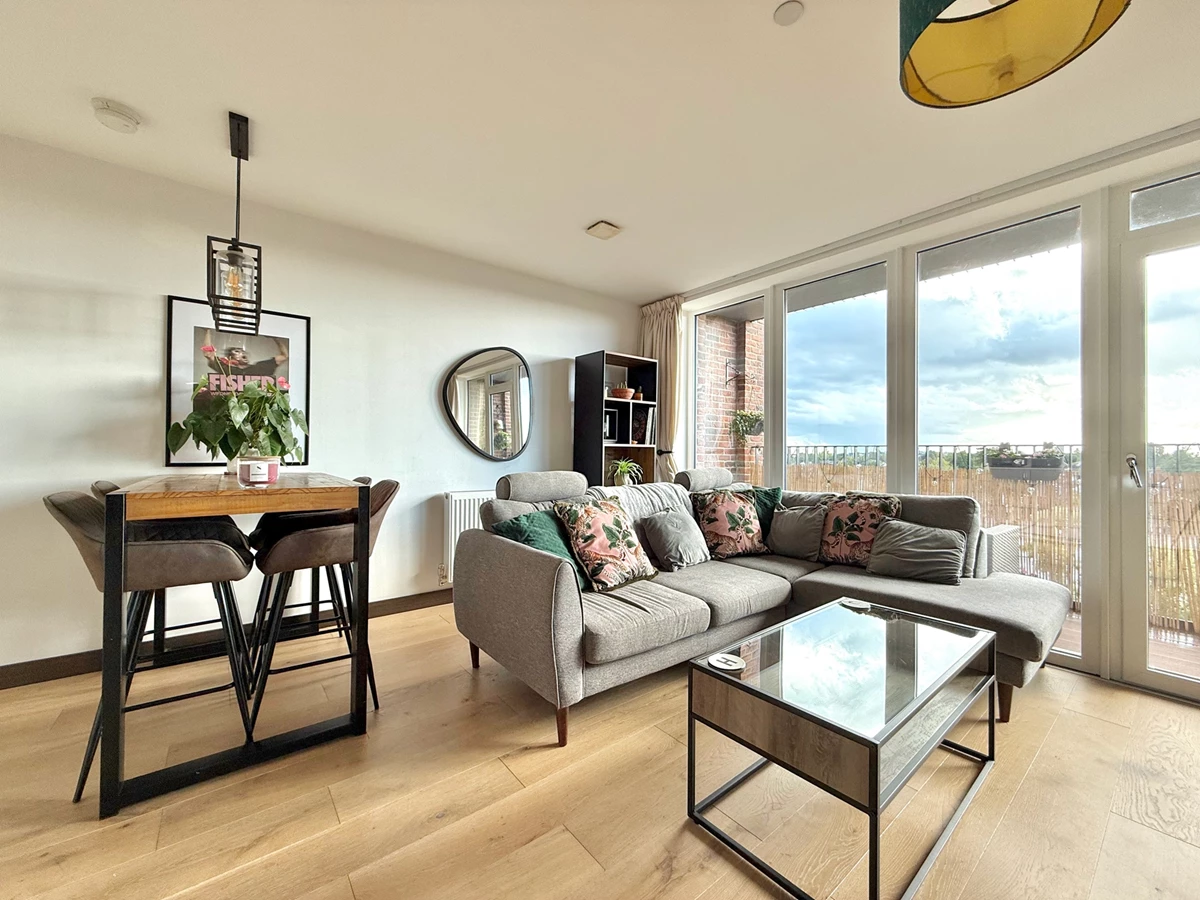 Living/Dining Area Continued