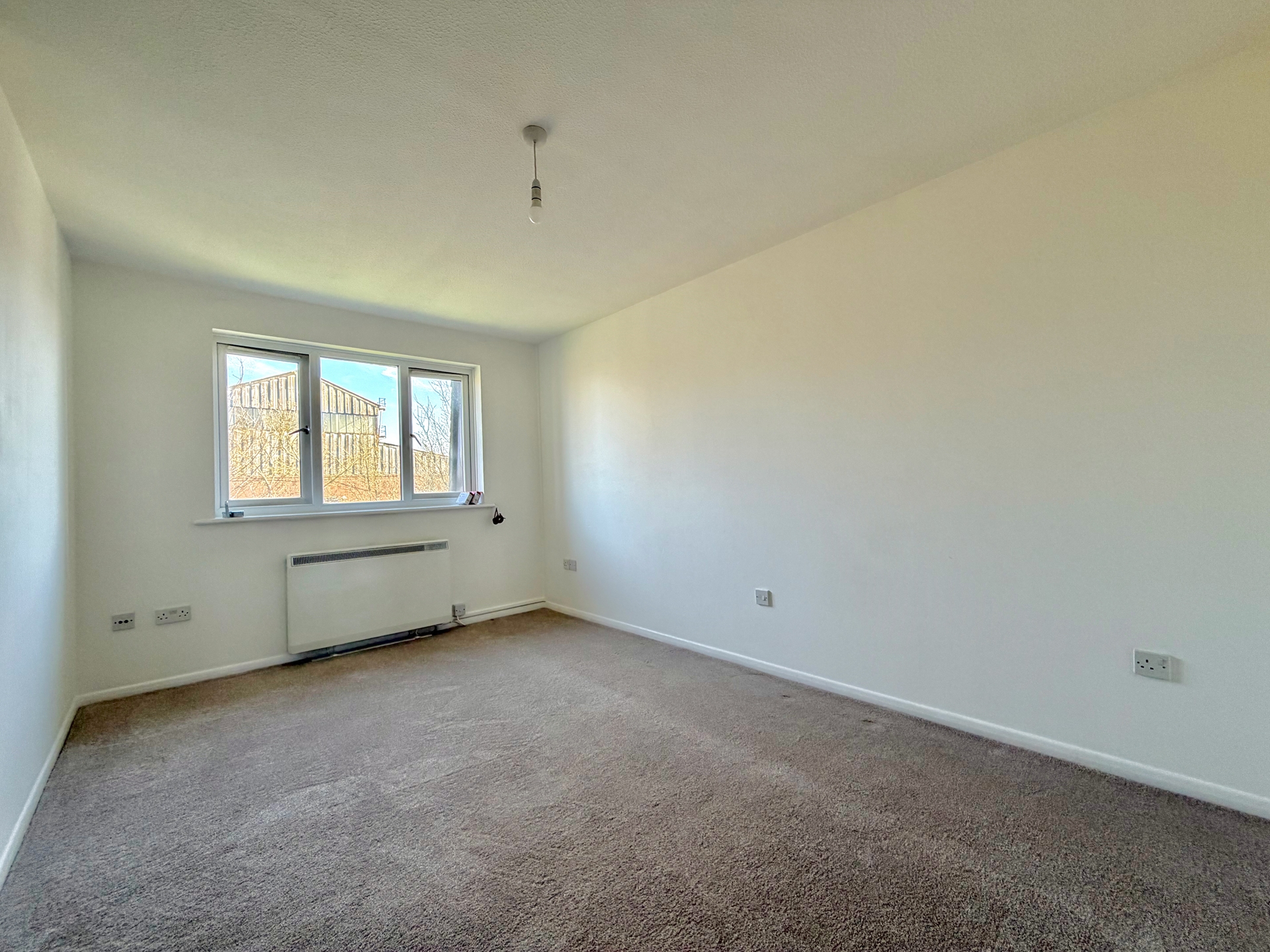 Living Room Continued