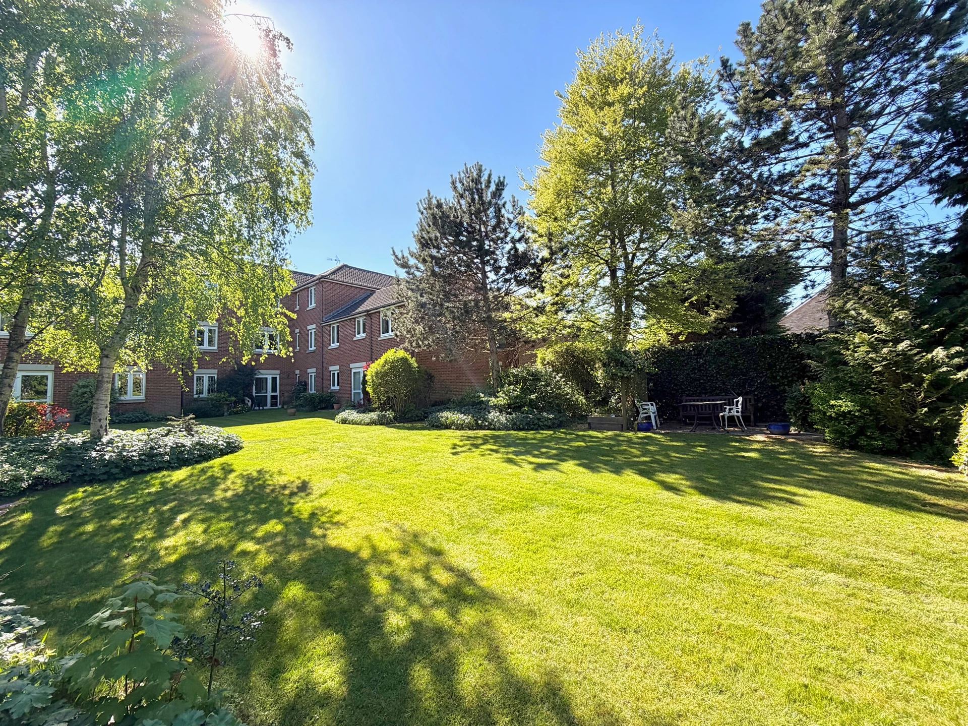 Communal Gardens Continued