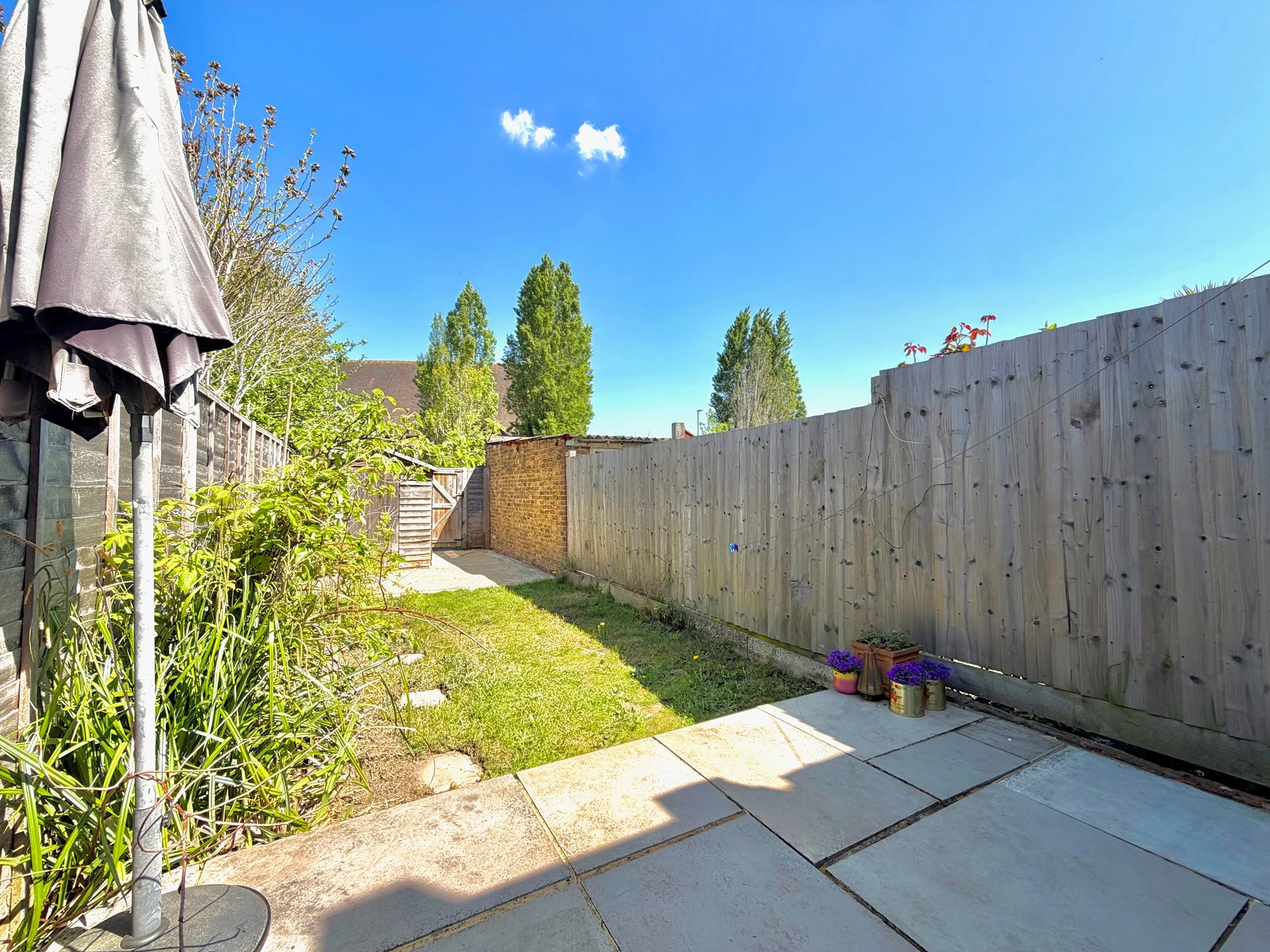 Garden Continued
