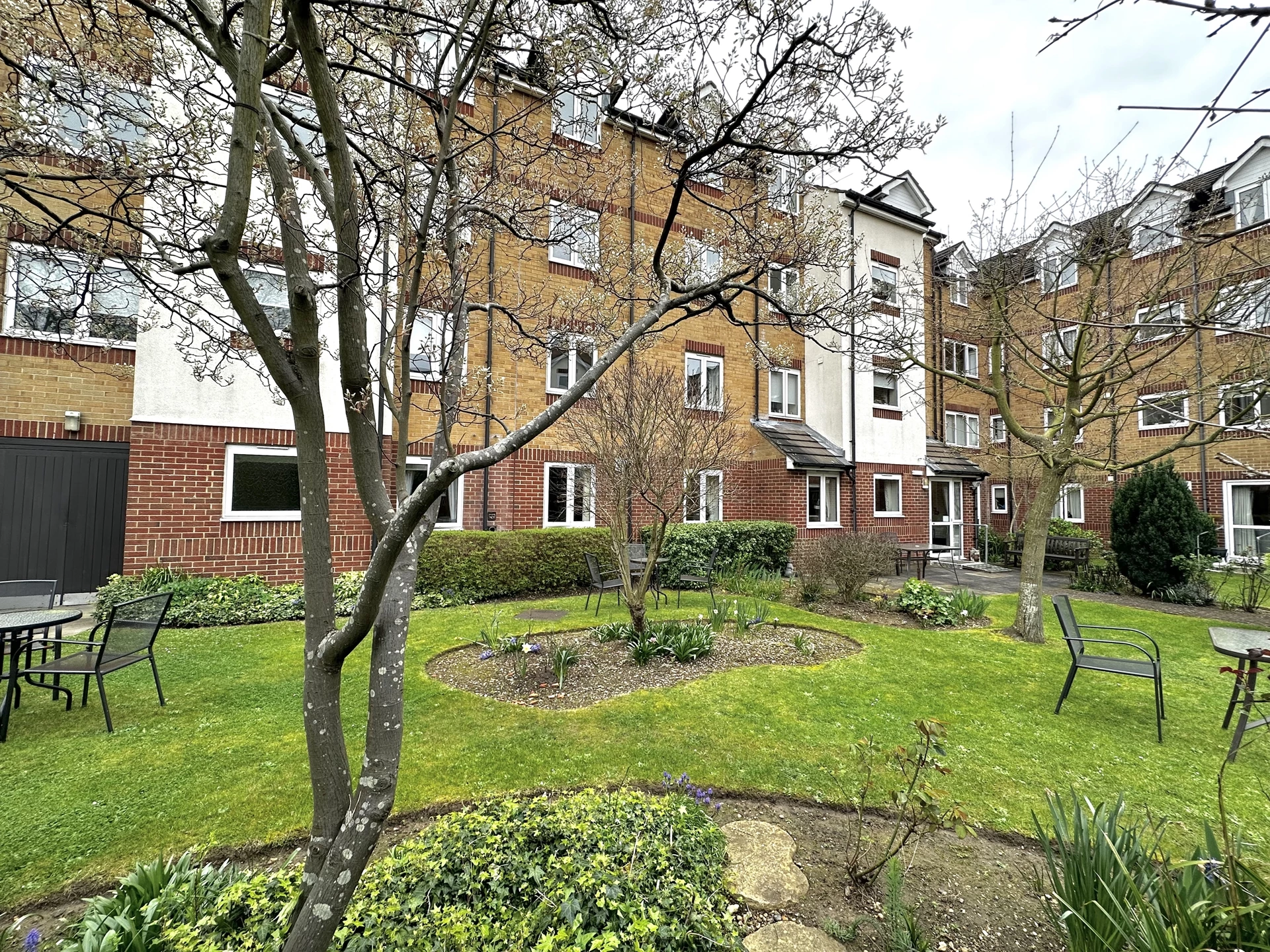 Communal Grounds Cont'd