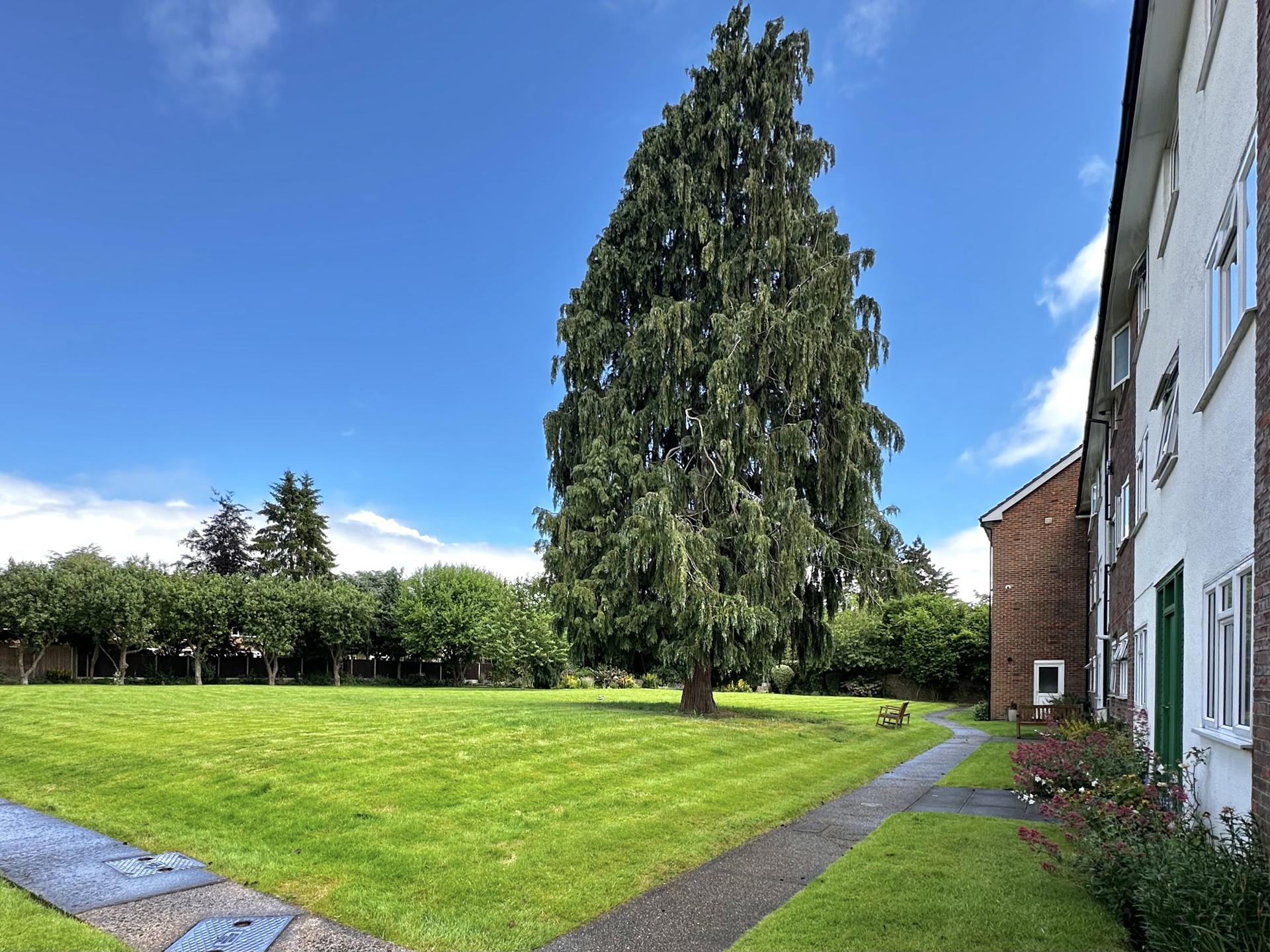 Communal Garden