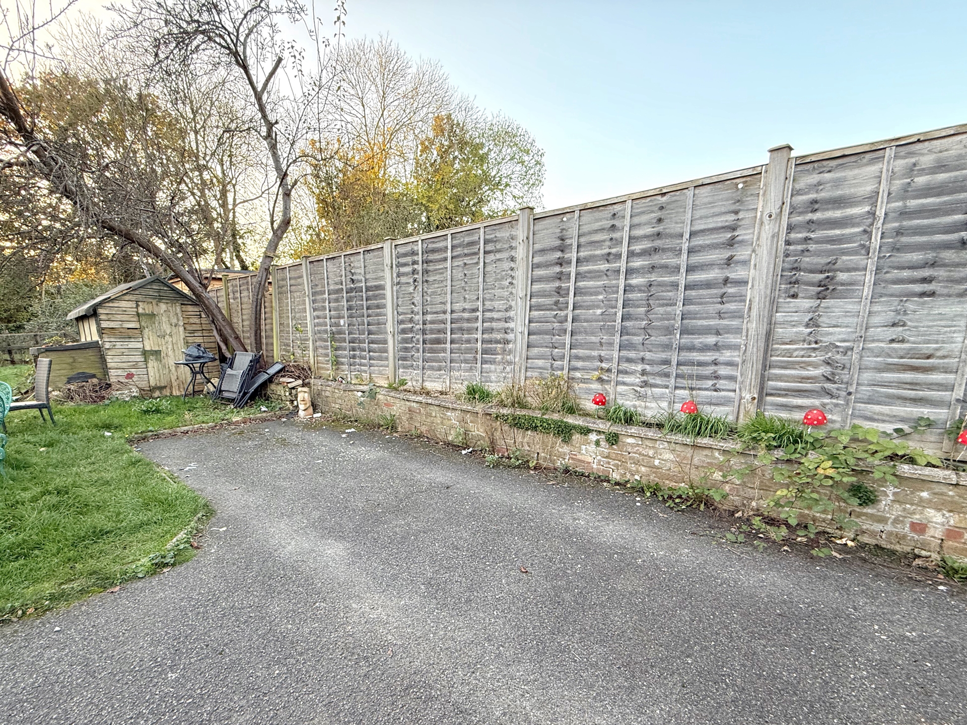 Rear Garden Continued