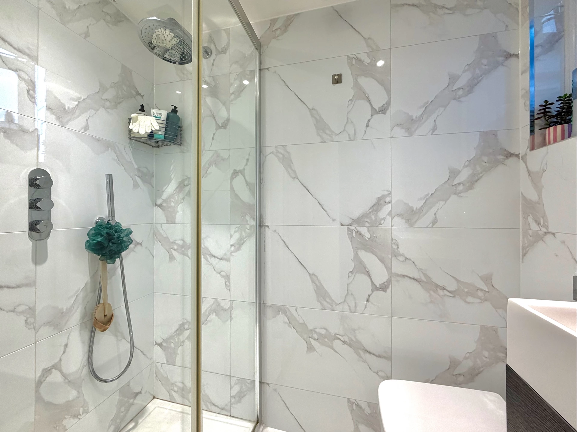 Shower Room Continued