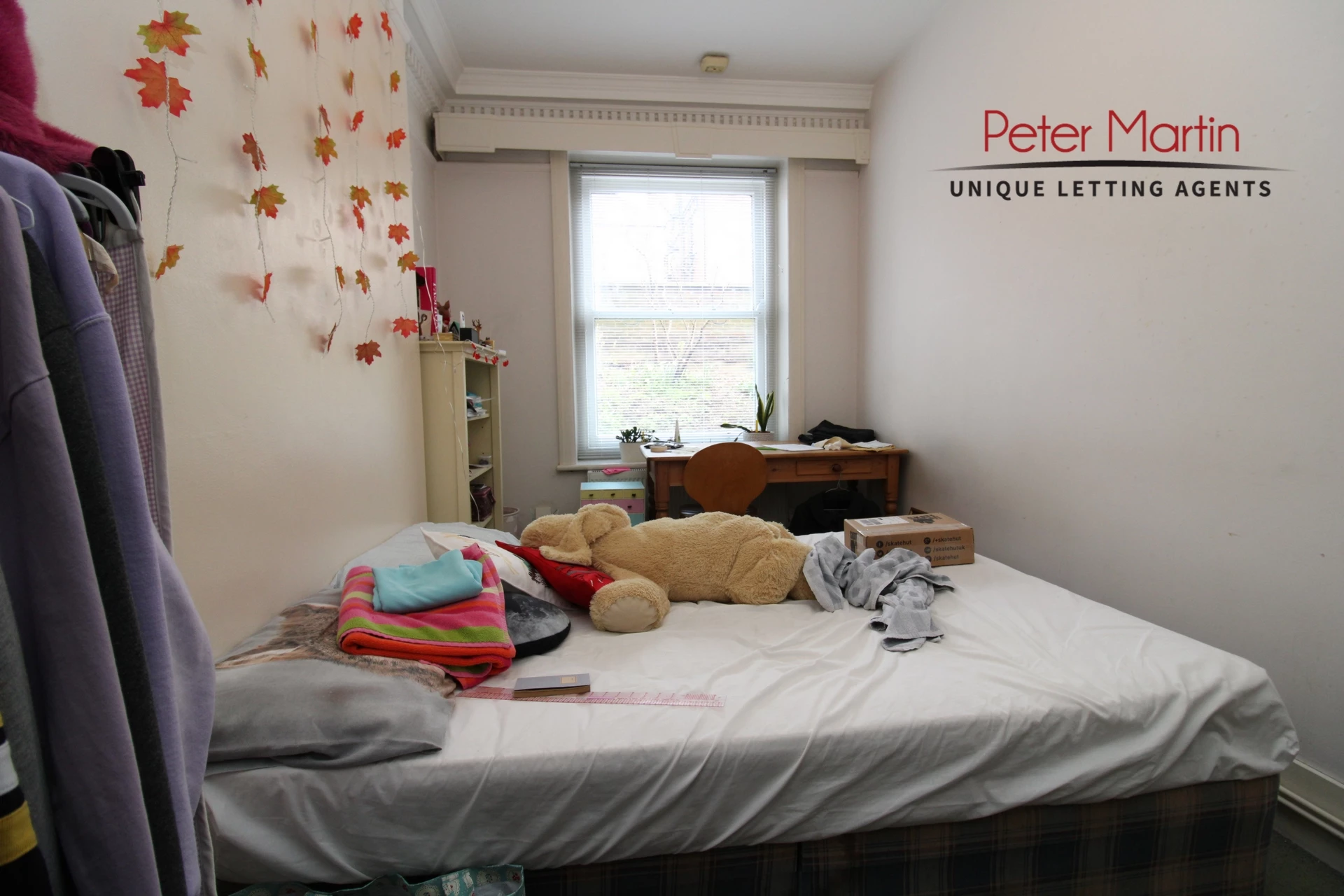 Photo 4