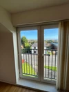 Window Window