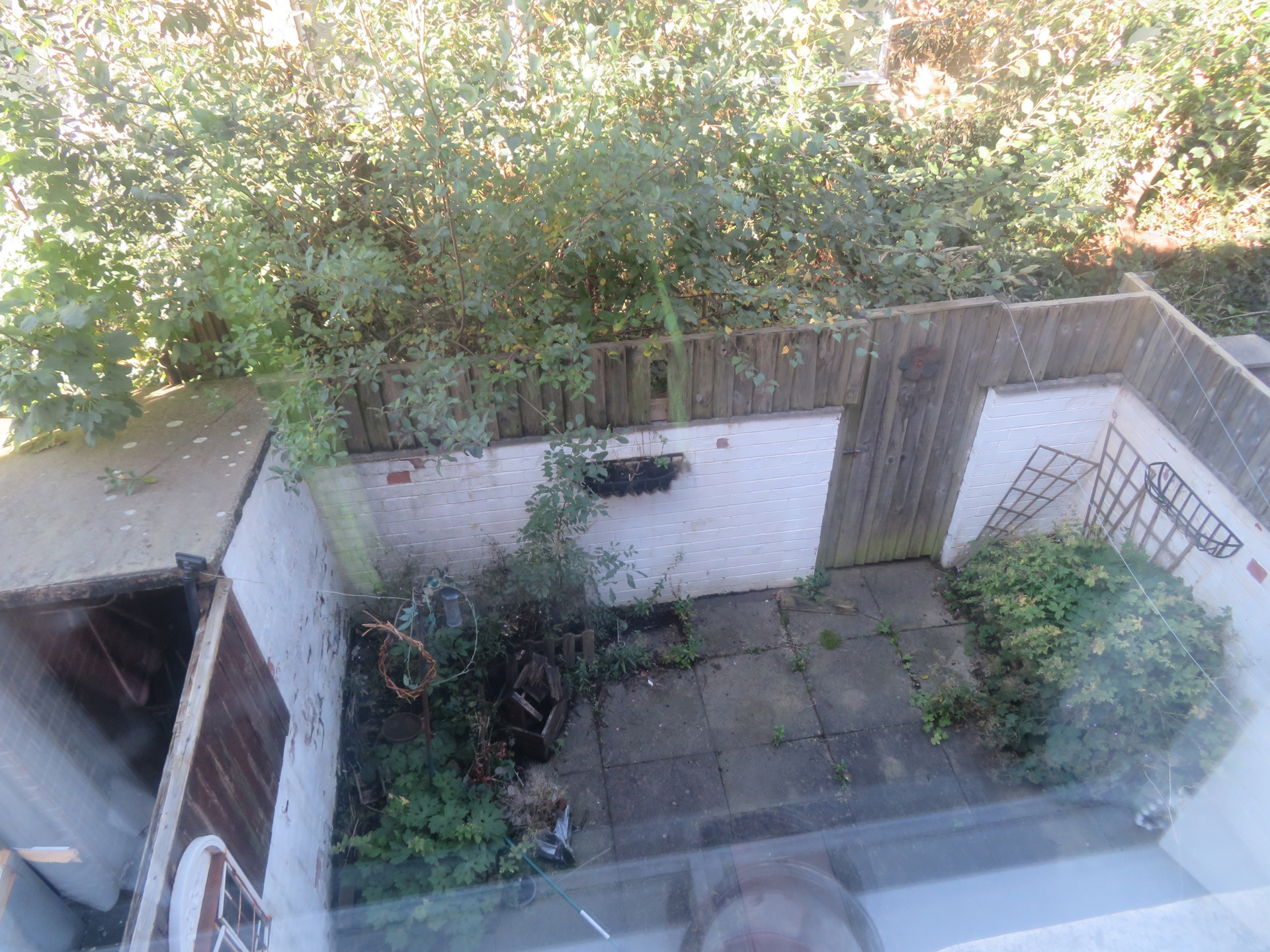 yard
