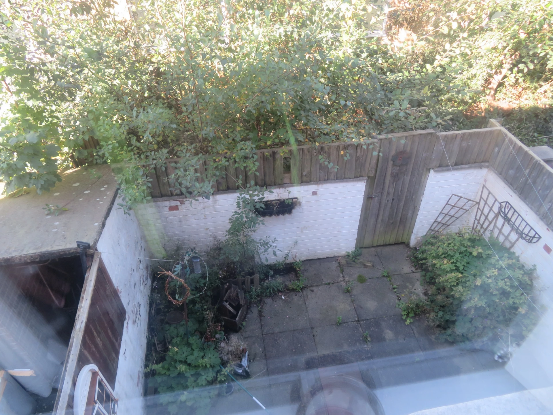 yard