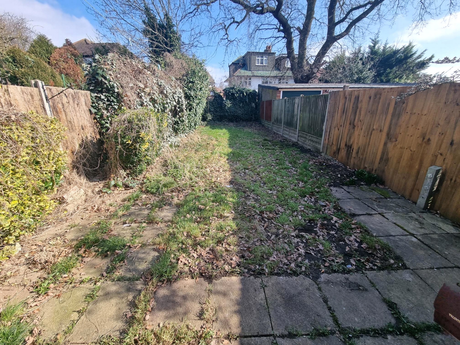 Photo 20