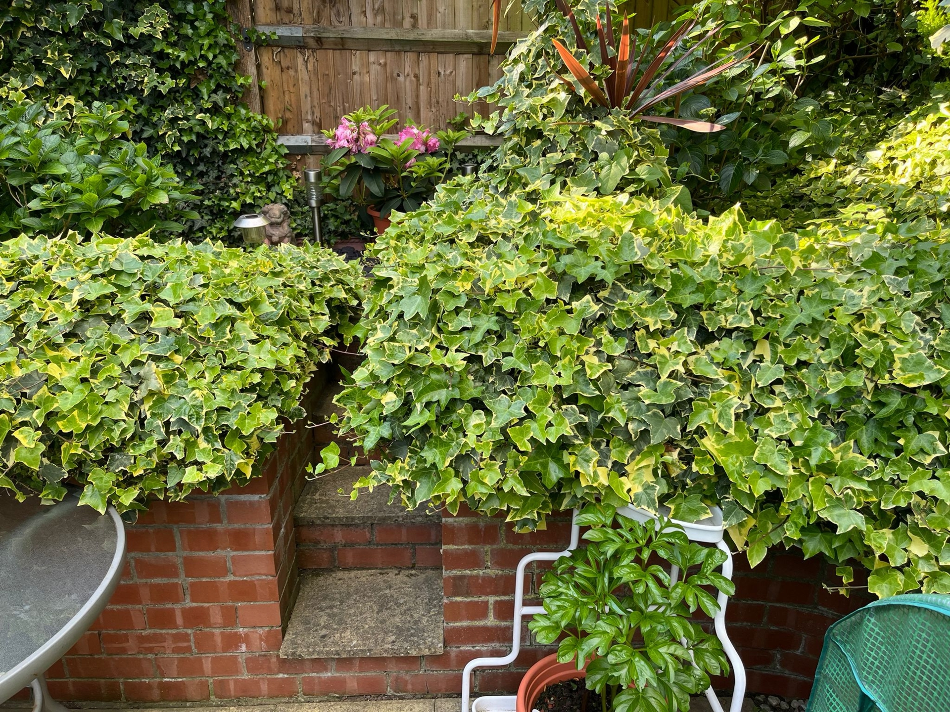 Photo 14