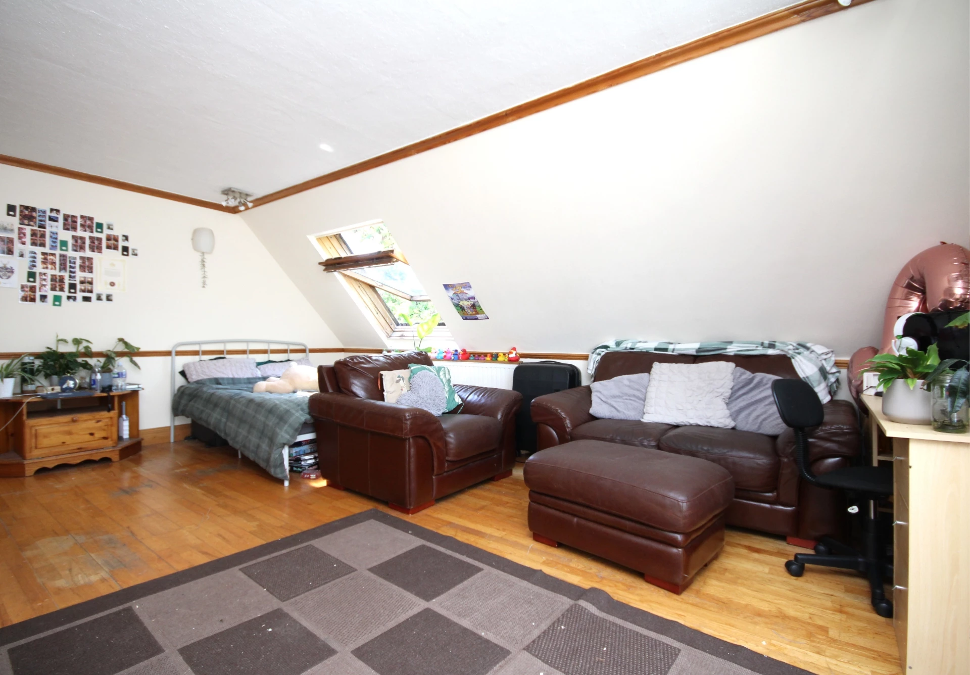 Photo 5