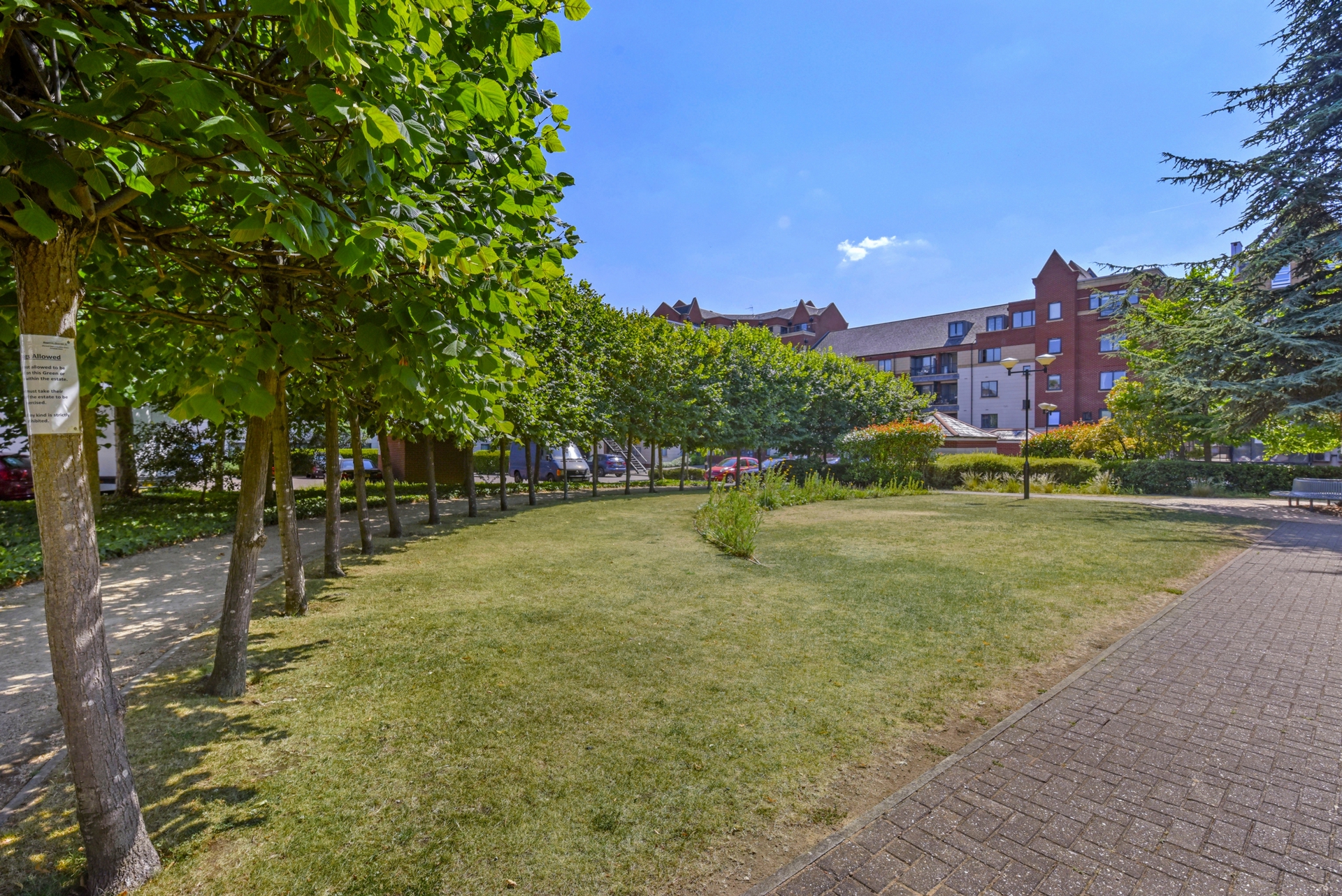 Communal Garden