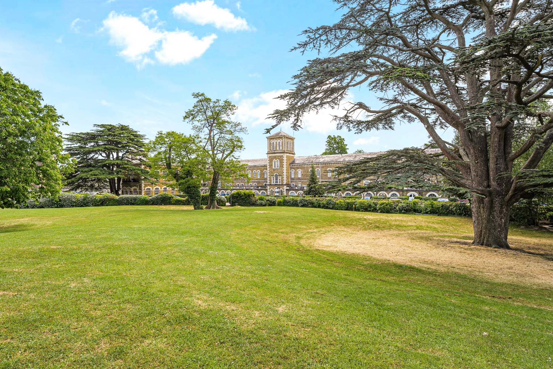 Communal Grounds