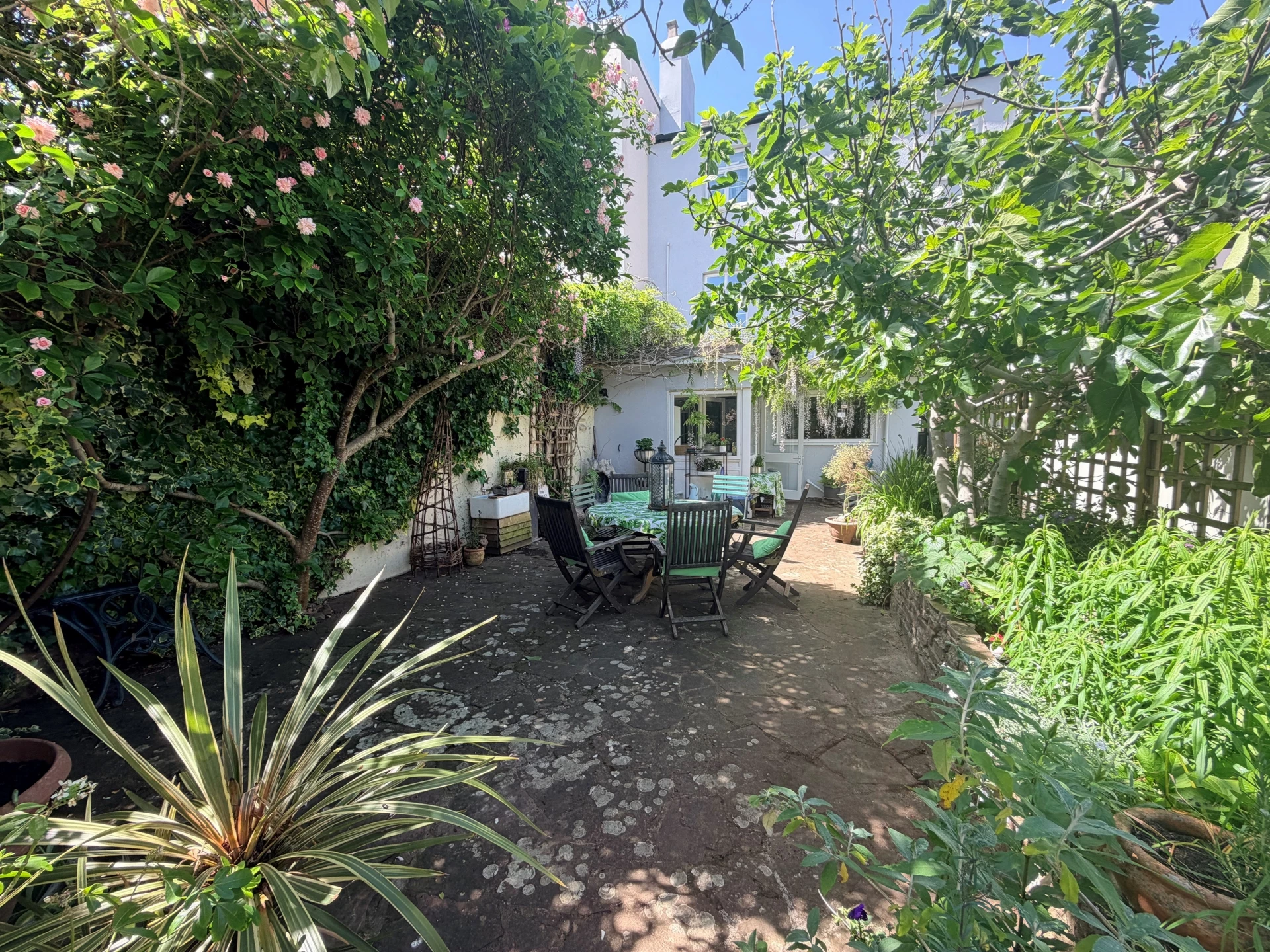 Photo 17