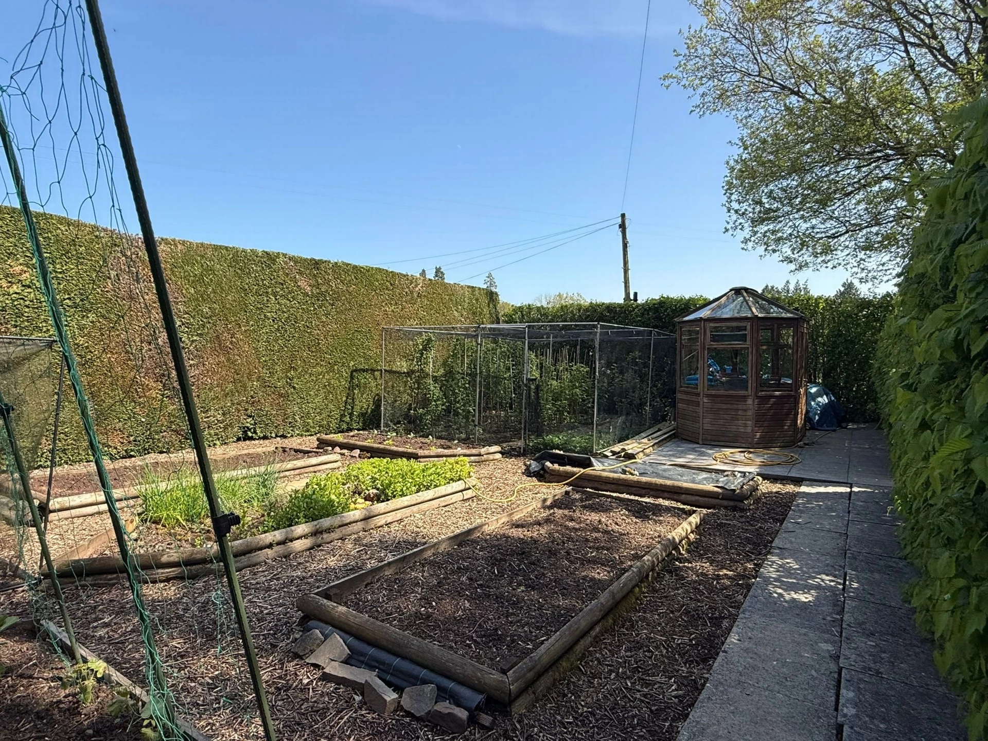 Photo 19