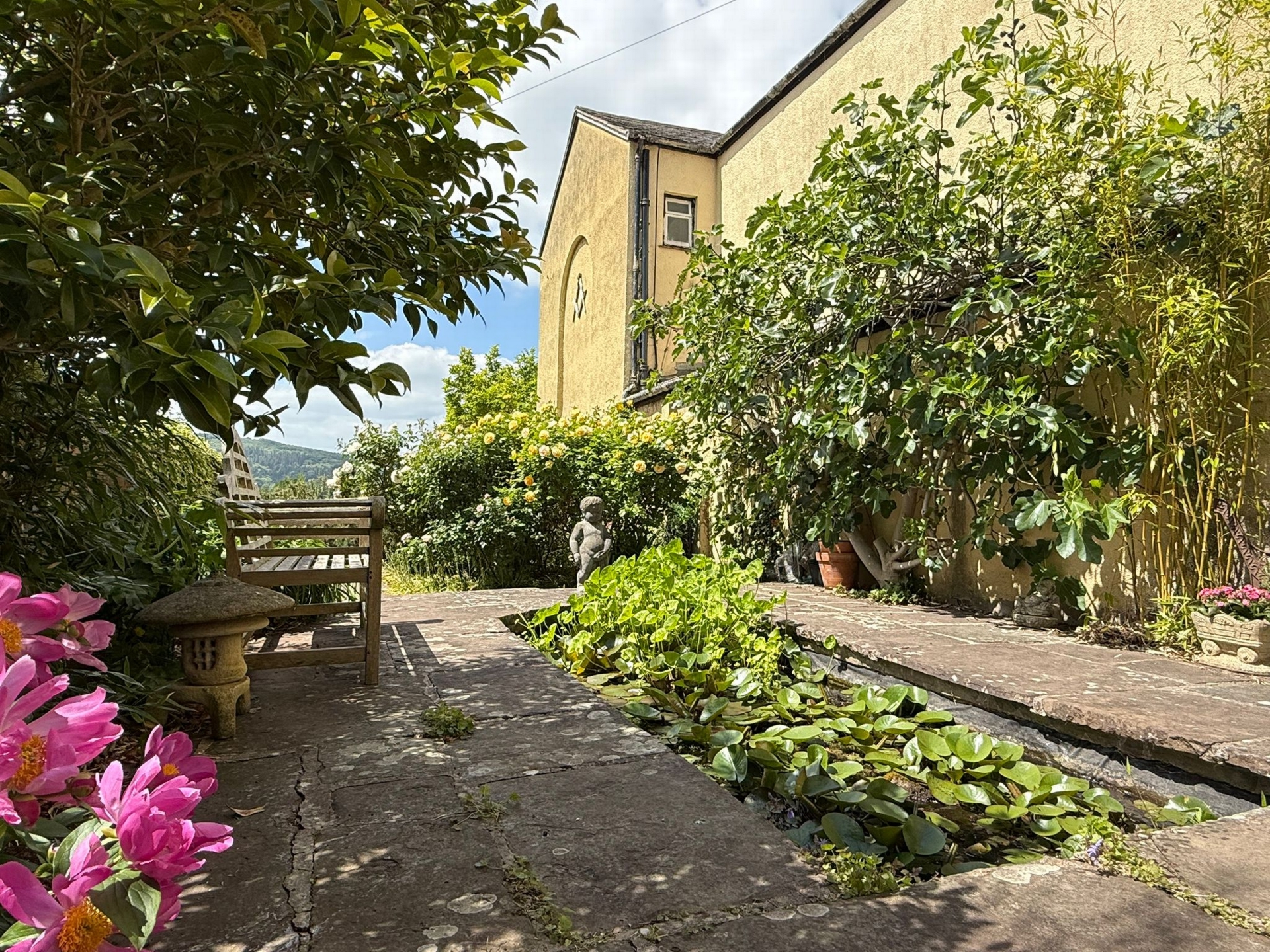 Photo 4