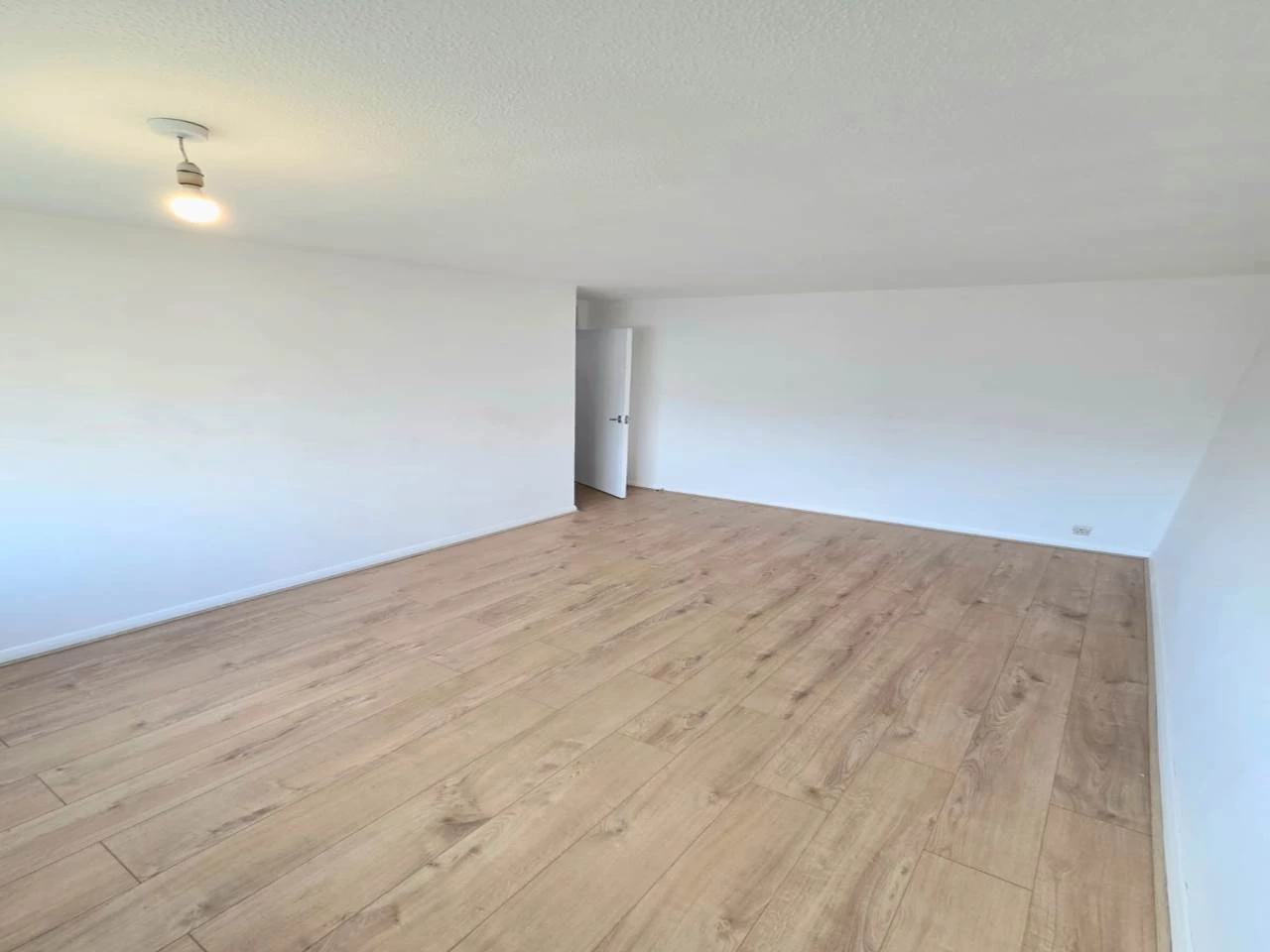 WhatsApp Image 2026-01-16 at 12