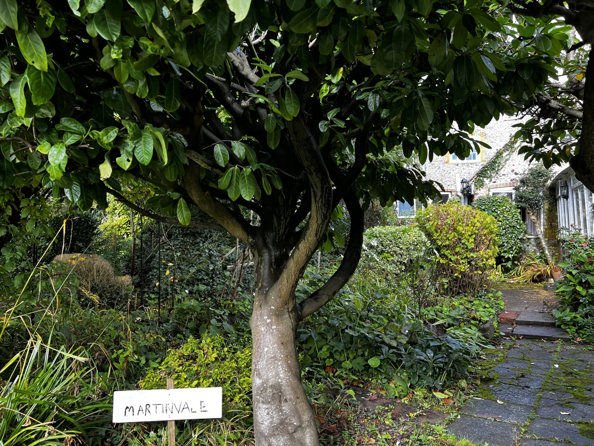 Photo 4