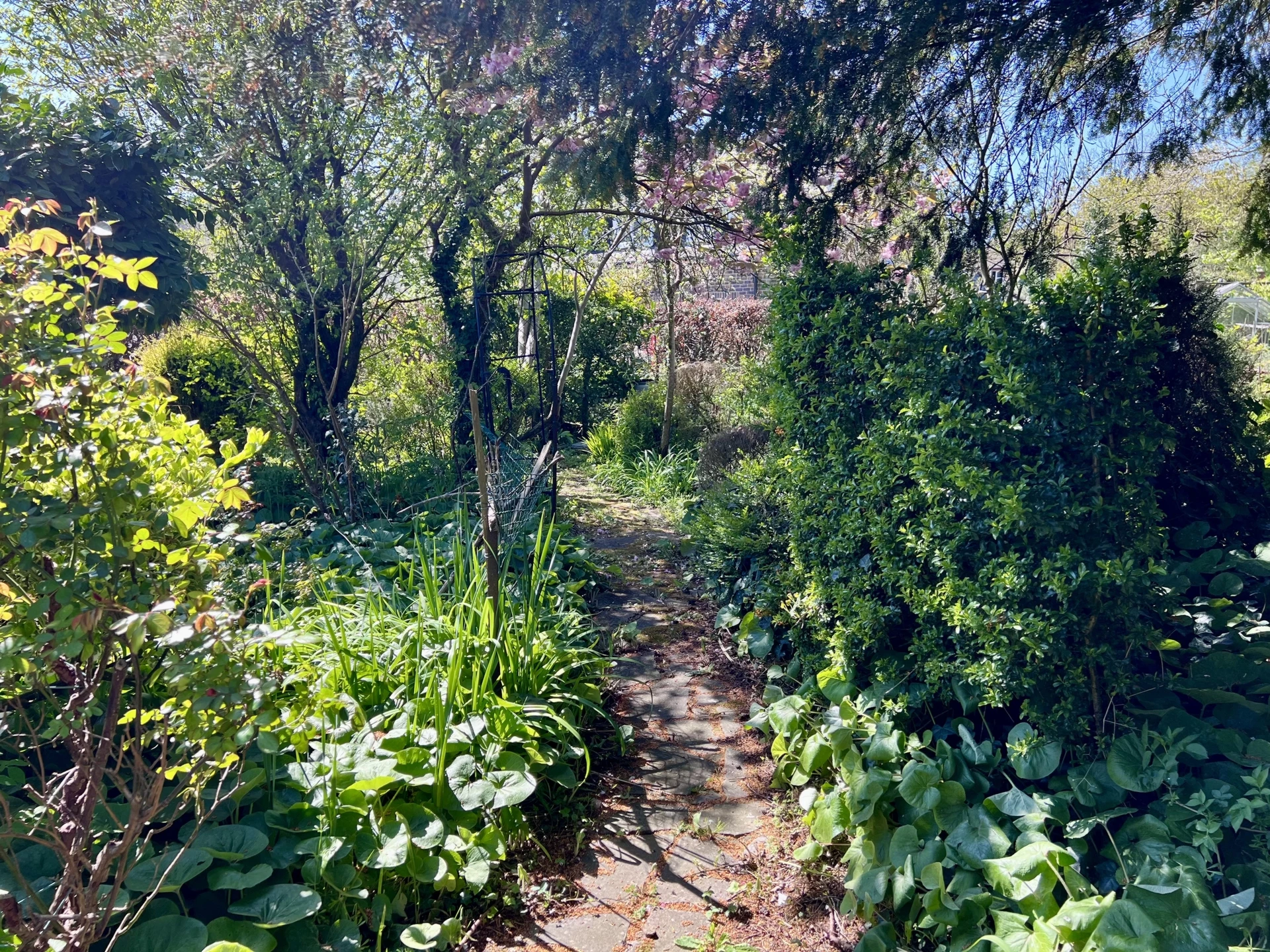 Photo 4