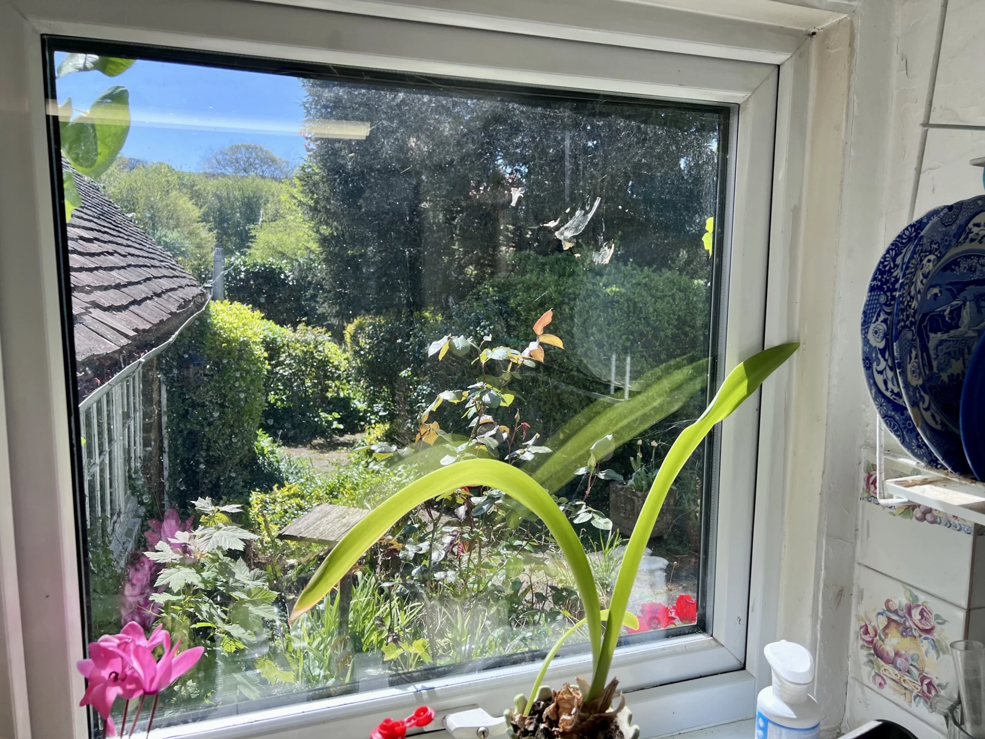 Photo 19